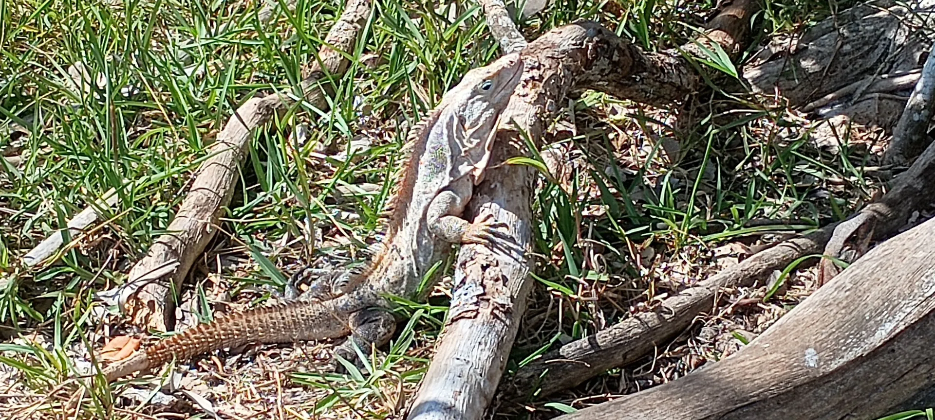 Deluxe 27' Tritoon w/ 300 HP Outboard in the heart of Naples