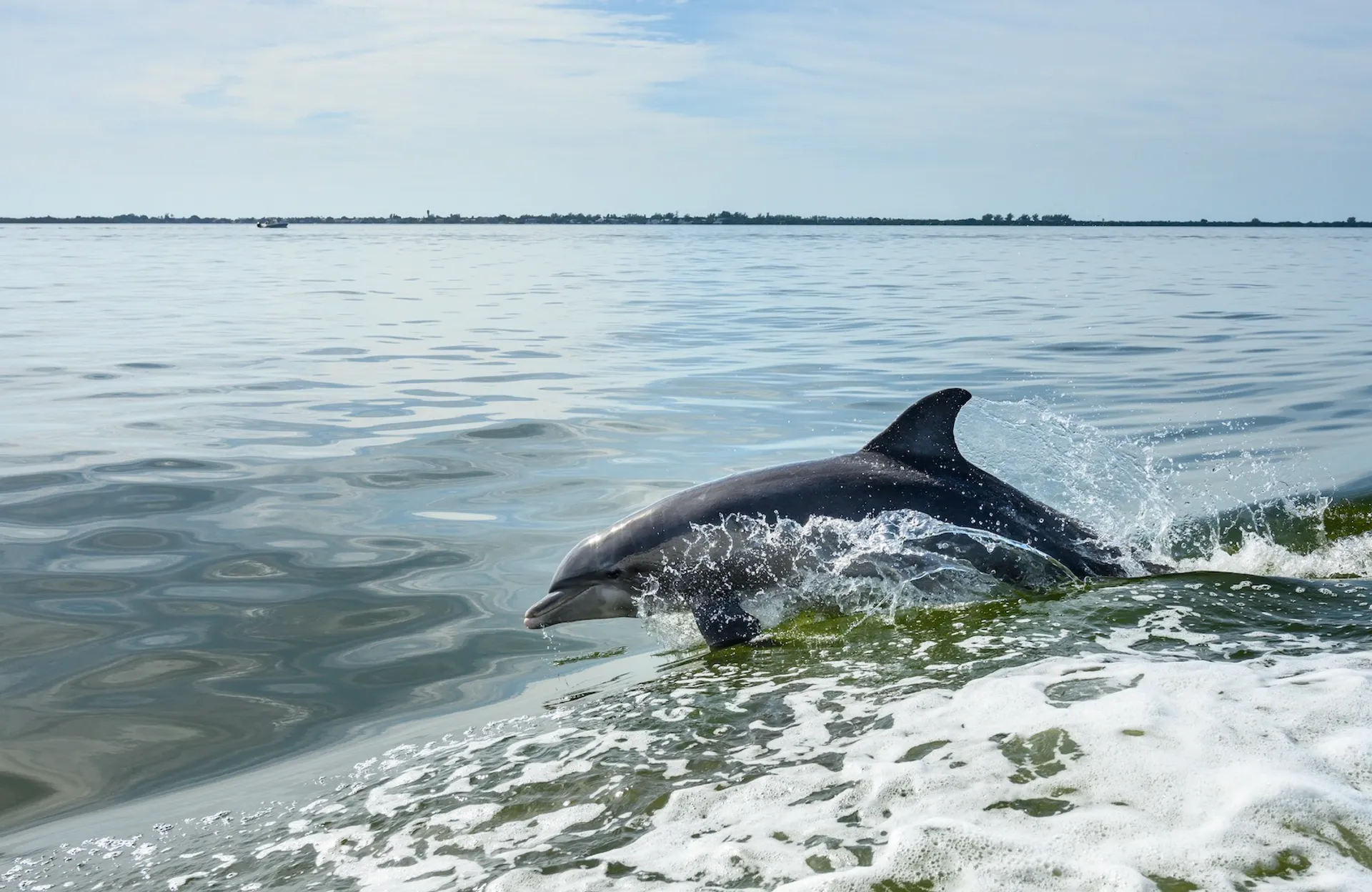 Luxury Sunset Cruises and Island Hopping