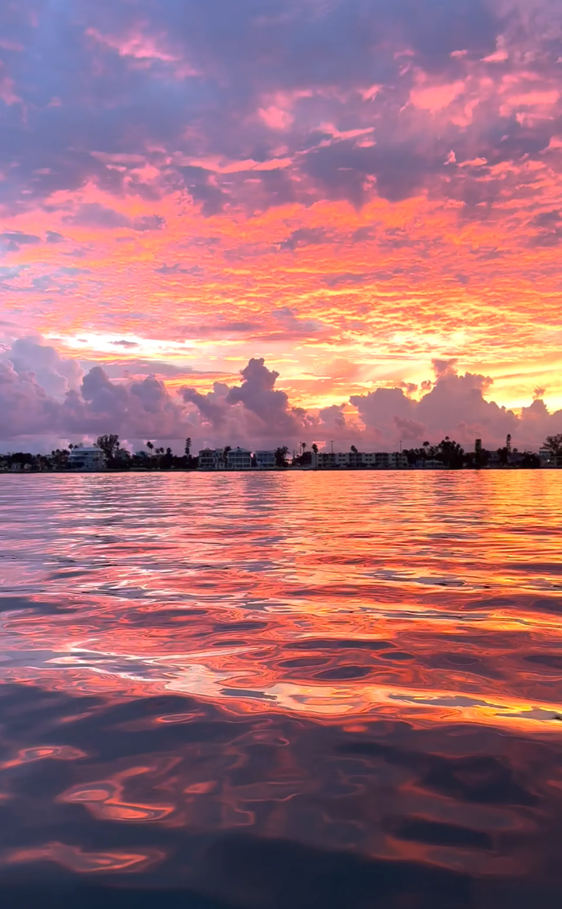 2025 Tritoon – Luxury | John's Pass, Egmont, Shell Key, St. Pete Beach