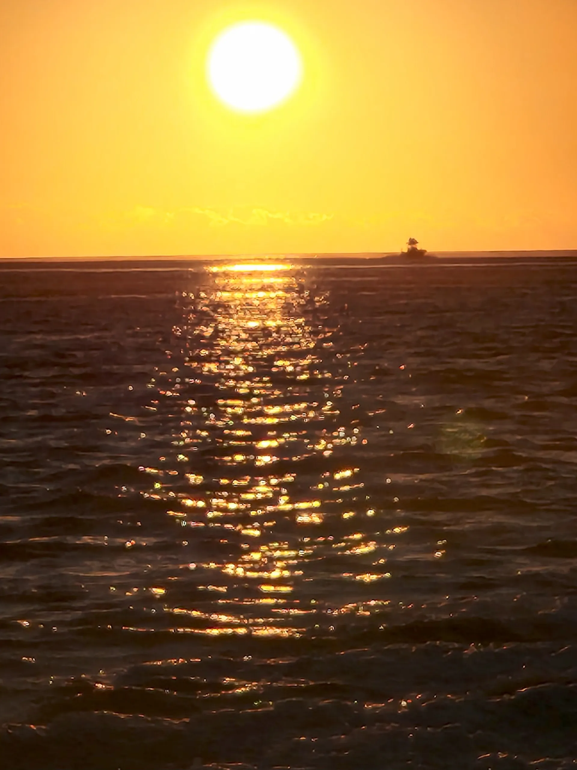 Ultimate speed, spacious comfort and elegant style... Best Time Ever!