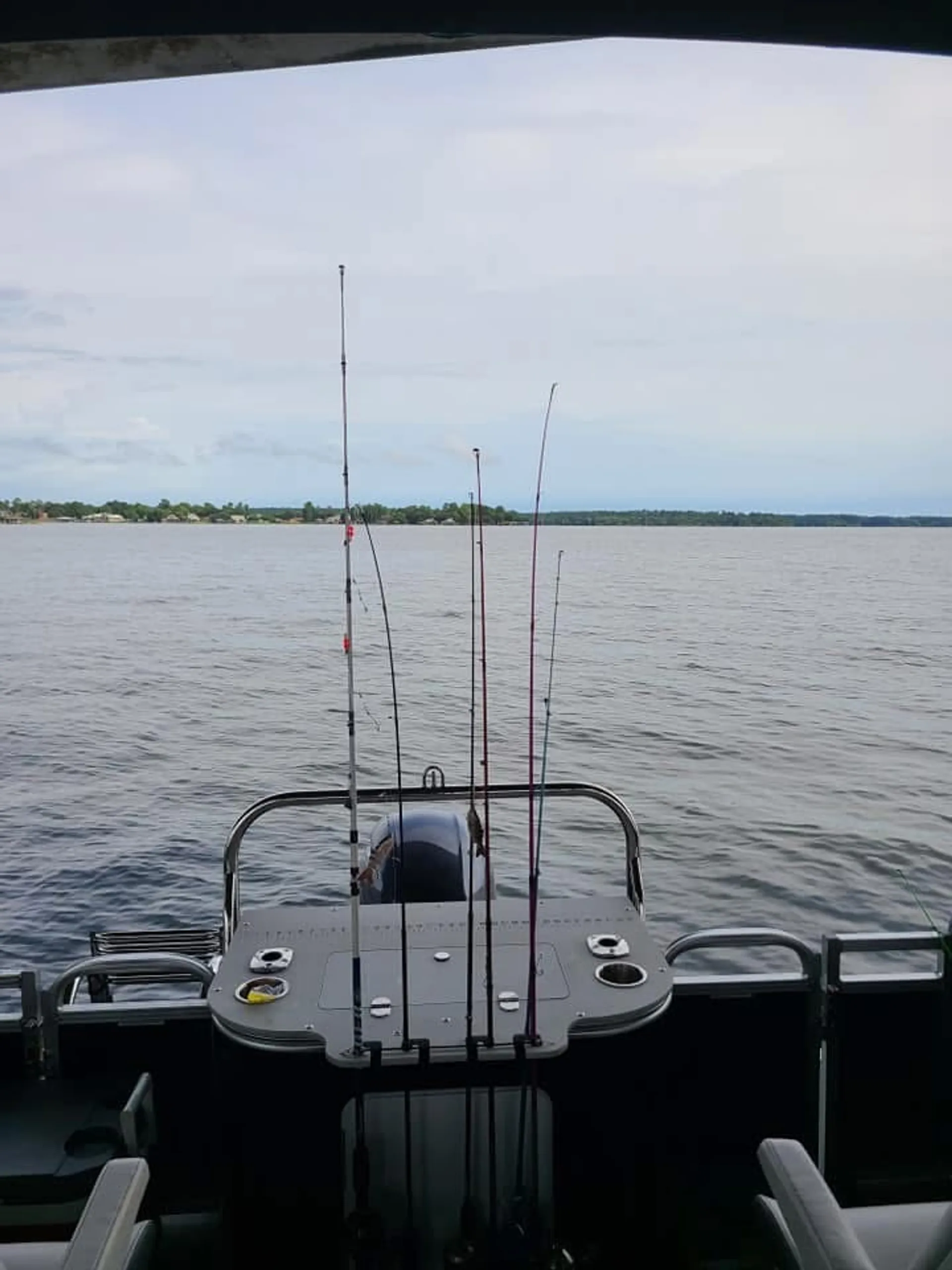 AVALON PONTOONS CATALINA REAR FISH 2585RF in Montgomery, TX — photo 8