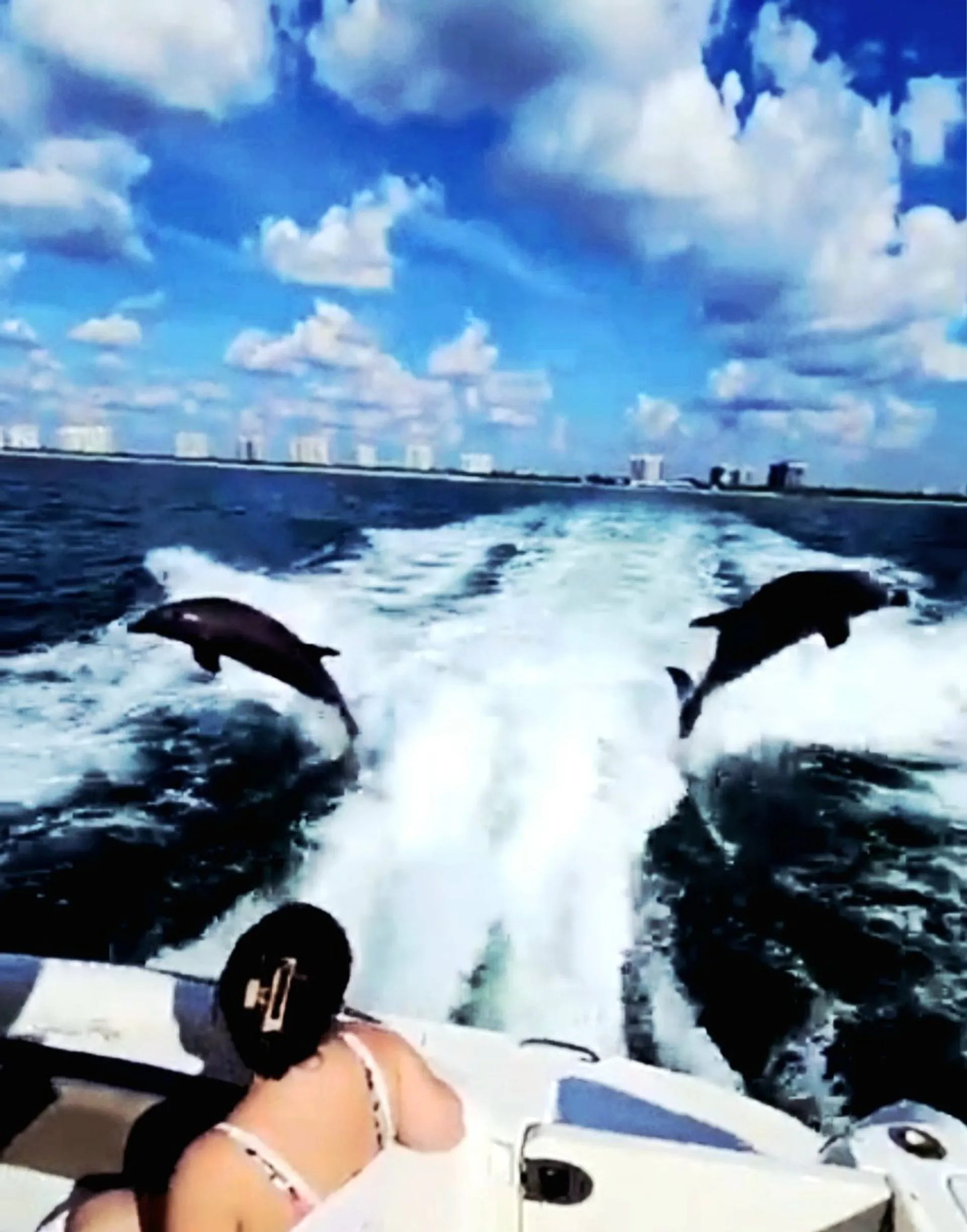 Heaven On The Gulf  - Sleek 40' Searay Sundancer! 