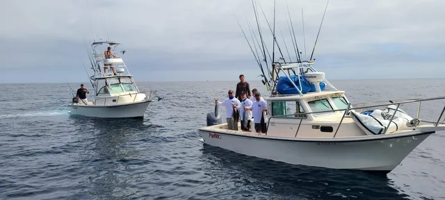 Rent a Parker Marine pilothouse in San Diego, CA near me