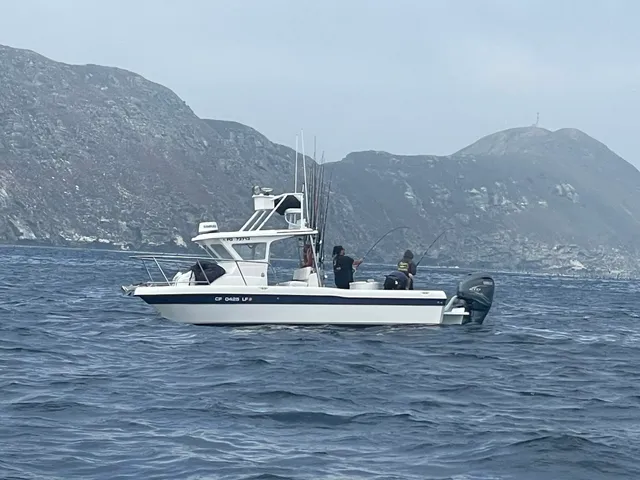 Rent a Davis pilothouse in San Diego, CA near me