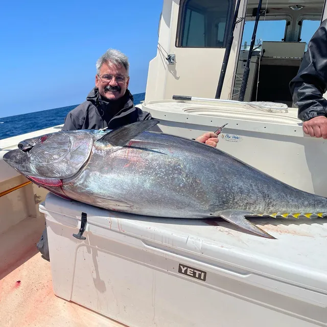 Rent a Parker Marine pilothouse in San Diego, CA near me