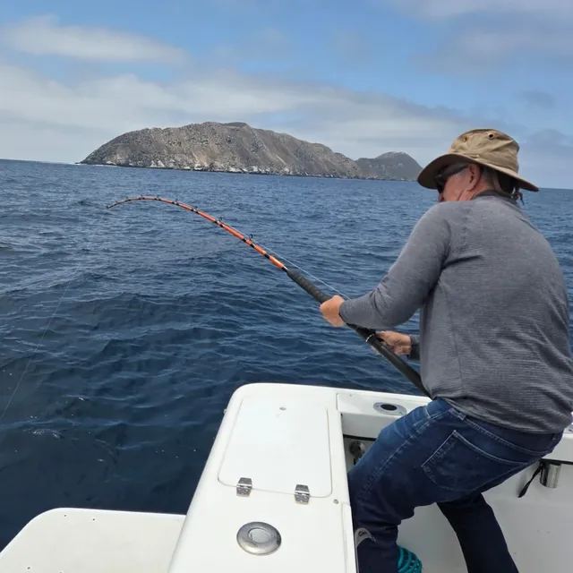 Rent a Parker Marine pilothouse in San Diego, CA near me