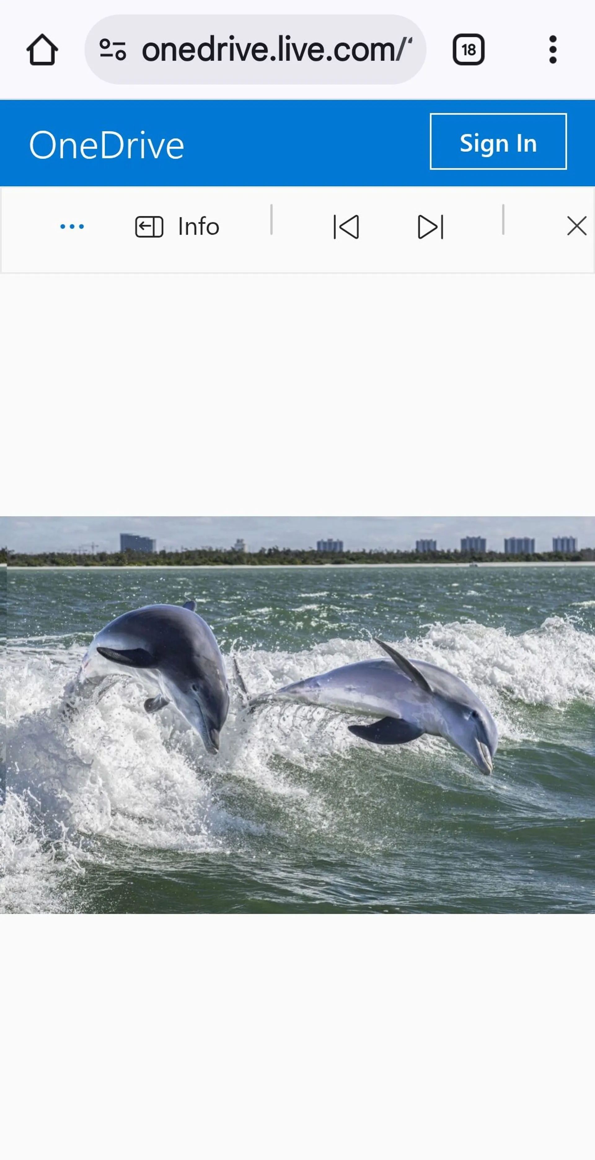 Heaven On The Gulf  - Sleek 40' Searay Sundancer! 