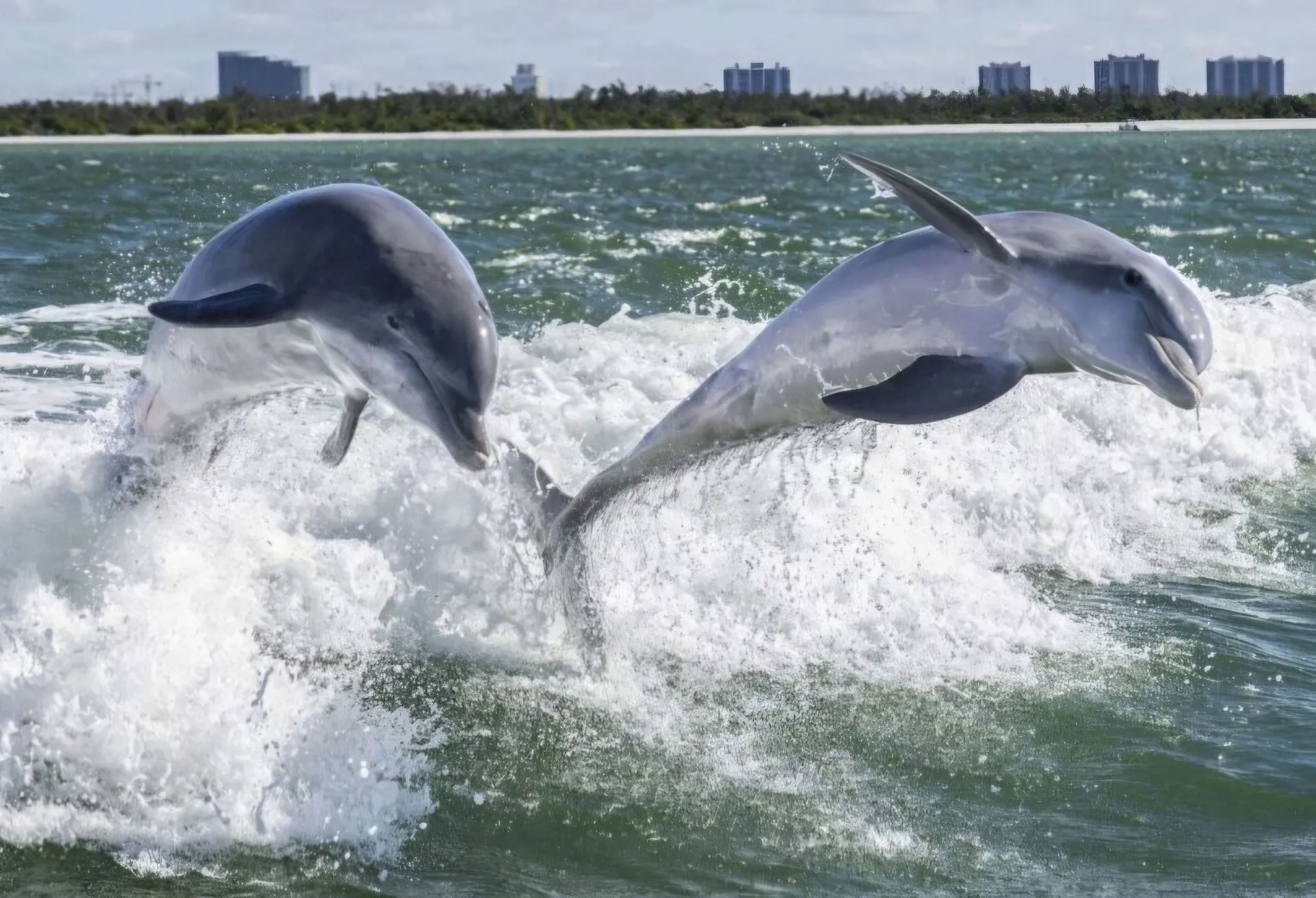 Heaven On The Gulf  - Sleek 40' Searay Sundancer! 