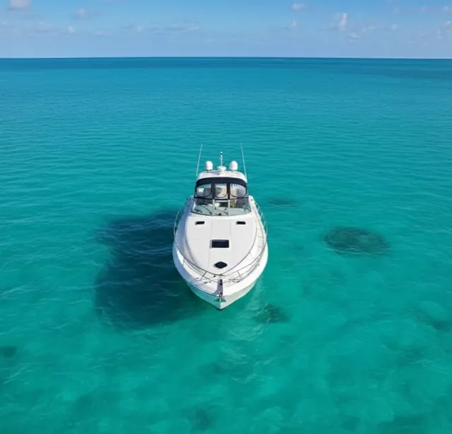 Rent a Sea Ray Boats motor yacht in Miami, FL near me