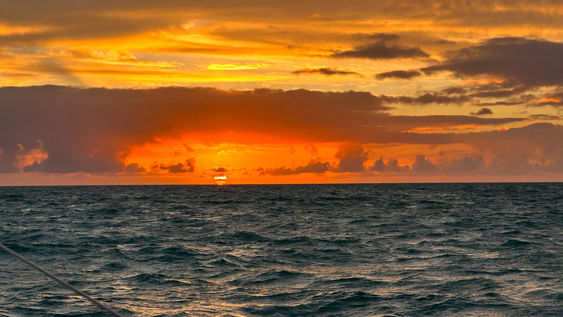 💎Book the Most Luxurious Yacht in Fort Lauderdale