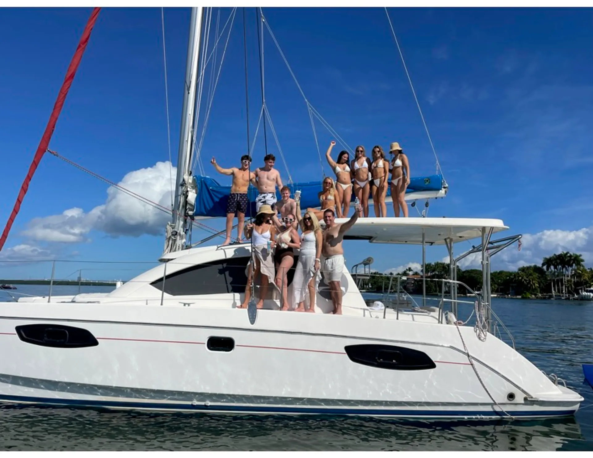 Robertson & Caine Leopard in Miami, FL — photo 5