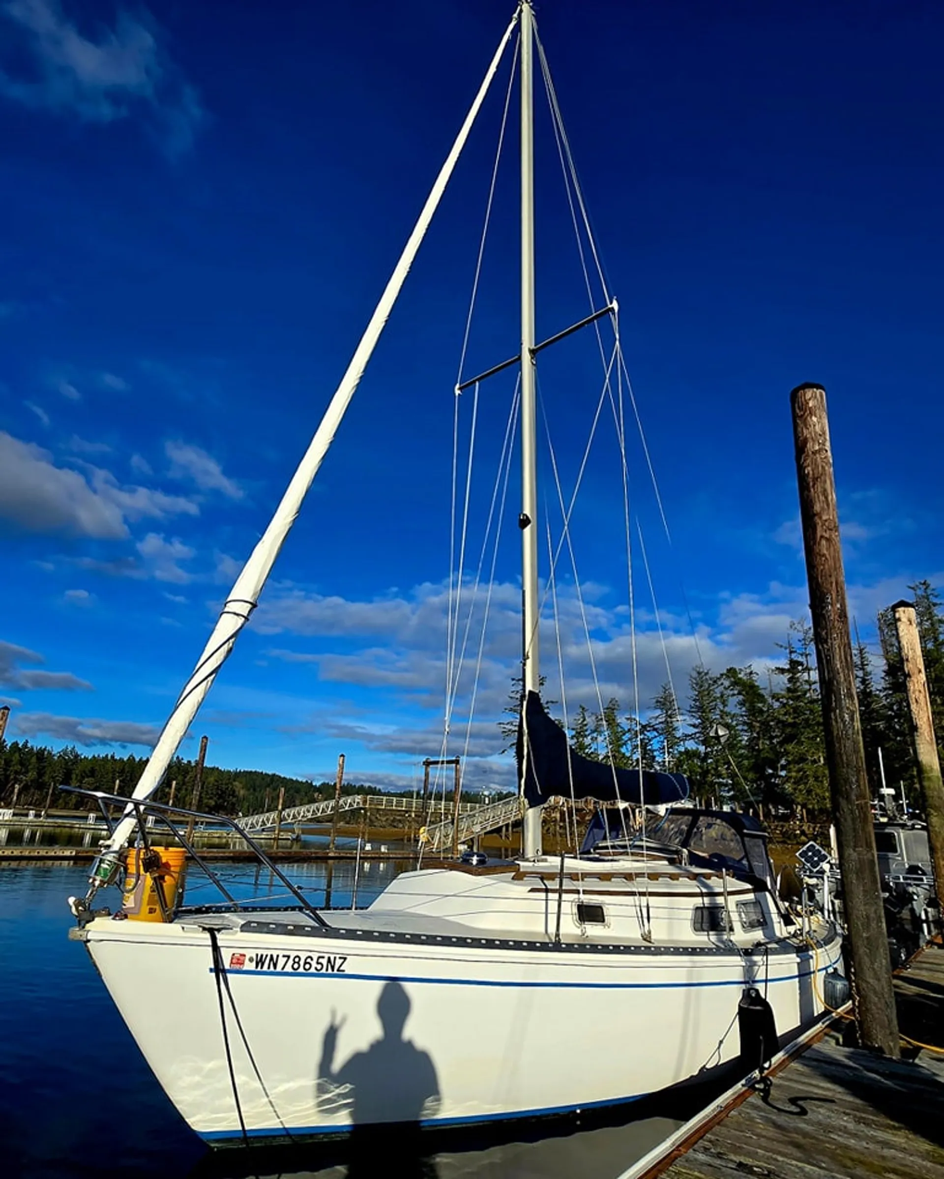 Sailing Charters in the South Puget Sound!