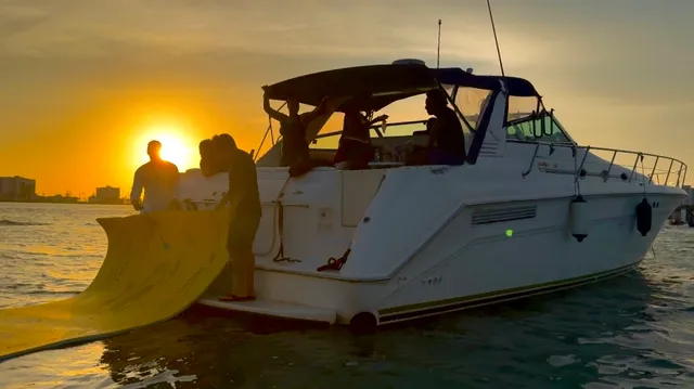 Rent a Sea Ray Boats motor yacht in Clearwater, FL near me