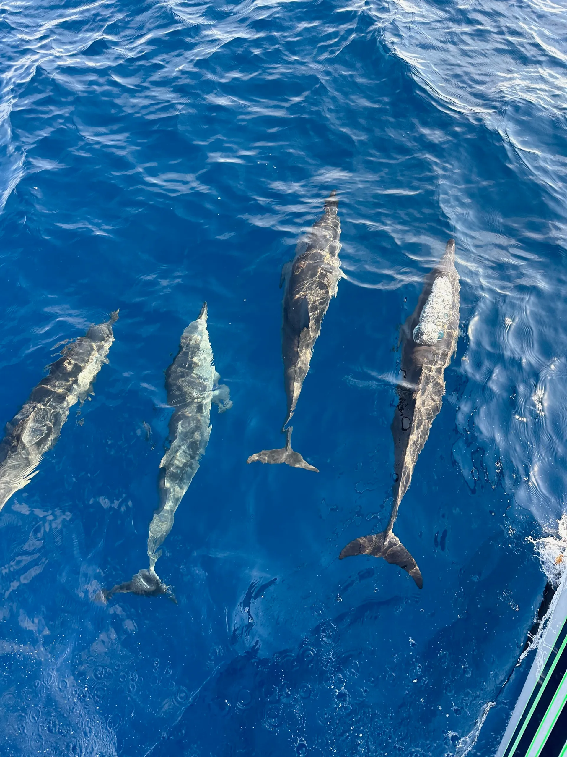 Escape the Ordinary - Discover Private Luxury Sailing on a Jeanneau 58