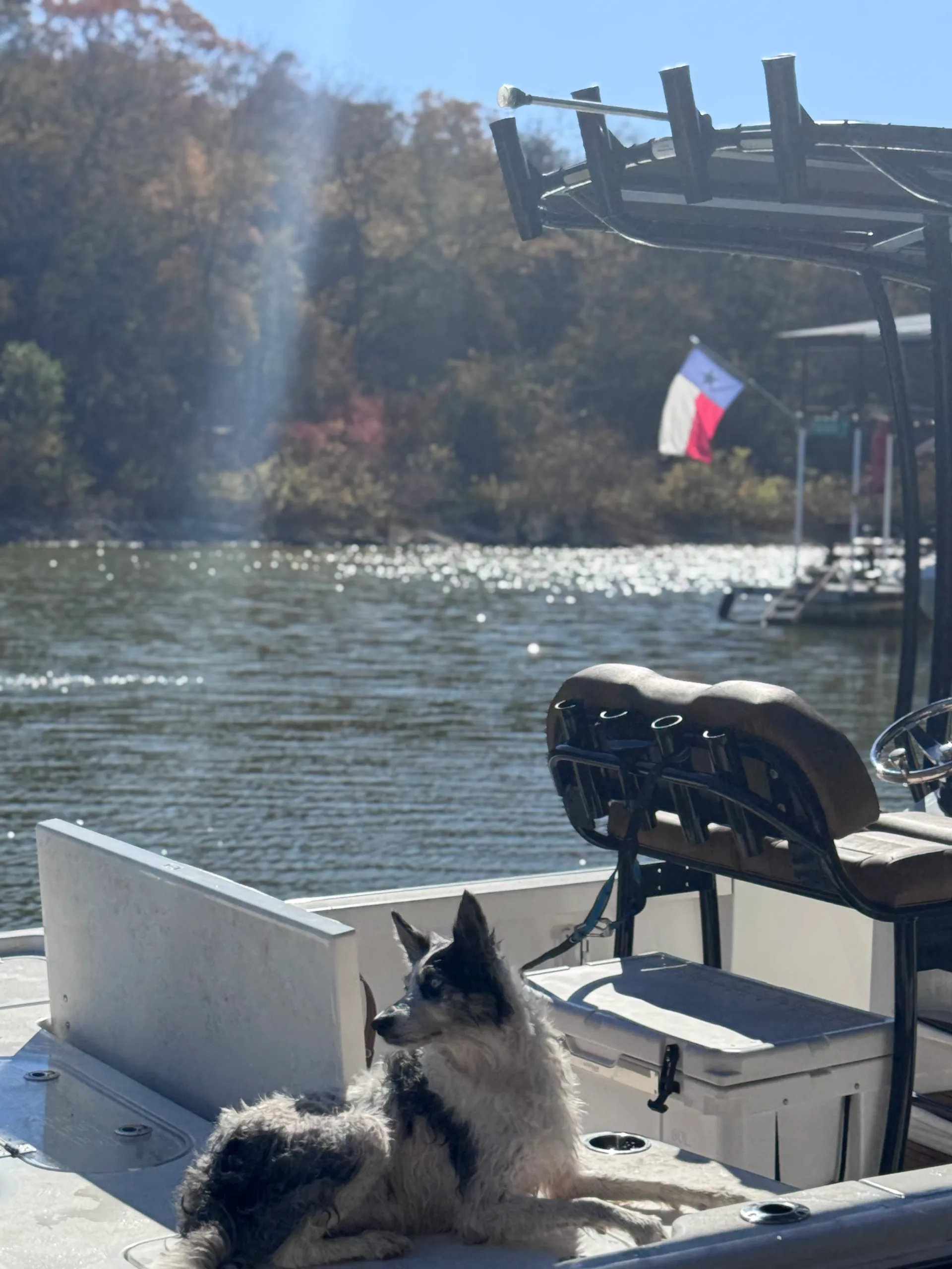 25' Center Console — Garmin LiveScope & Minn Kota GPS-Anchor