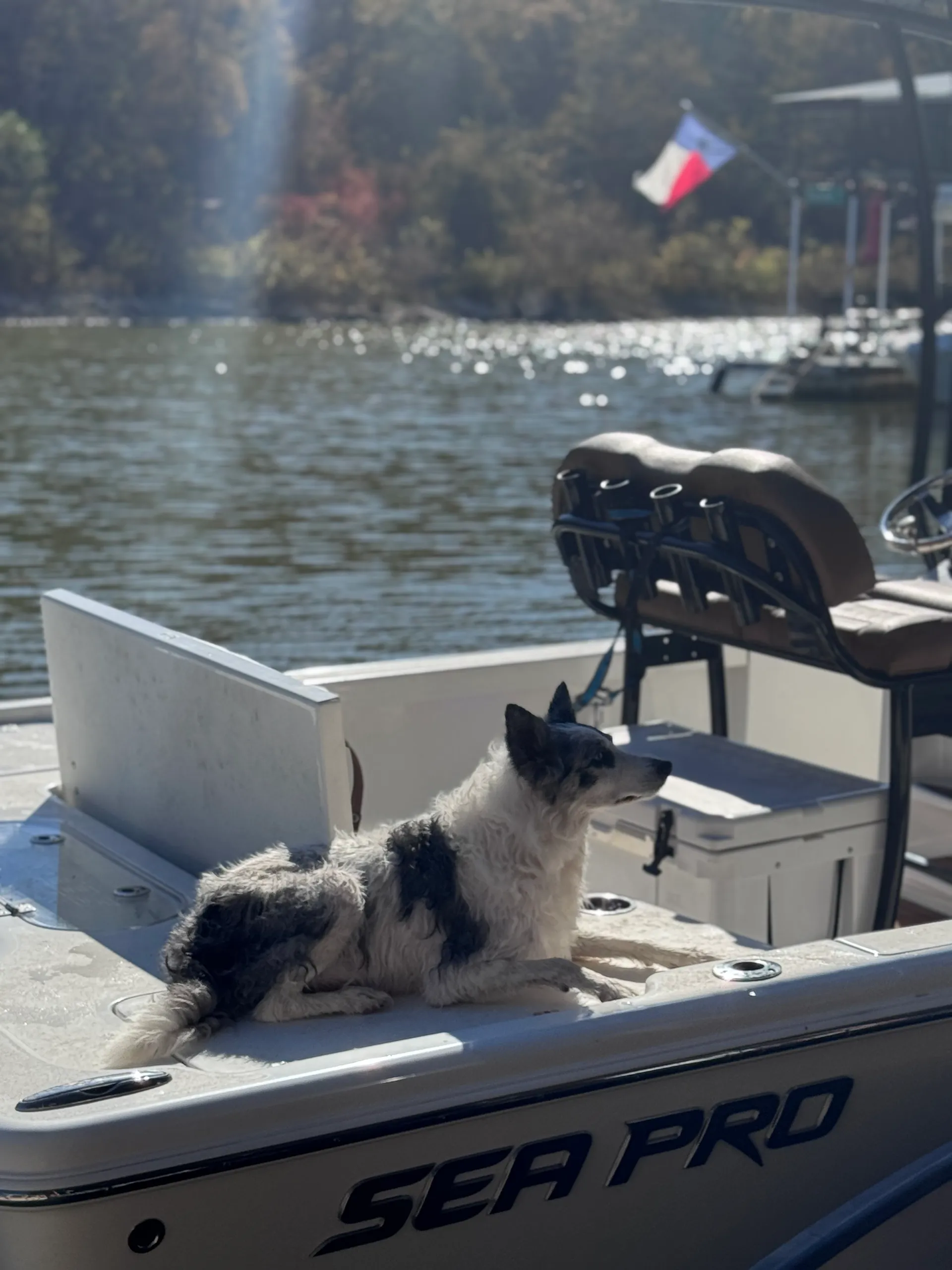 25' Center Console — Garmin LiveScope & Minn Kota GPS-Anchor