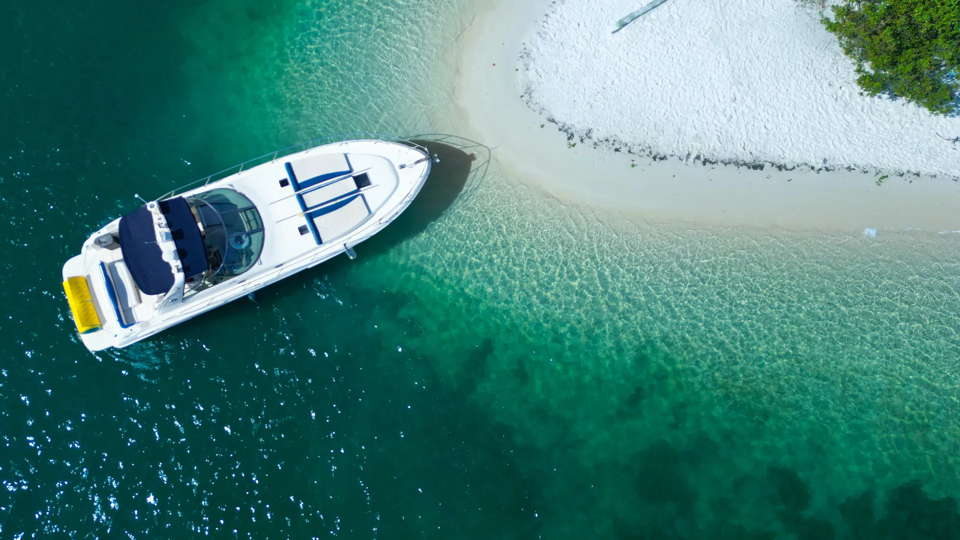 Enjoy "Venezzia" in Miami with Sundancer II 44FT!