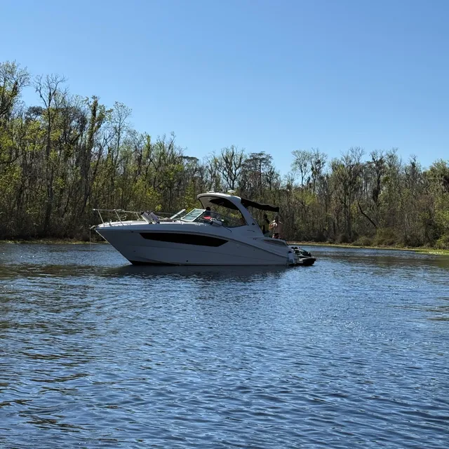 Rent a SEA RAY BOATS motor yacht in Green Cove Springs, FL near me