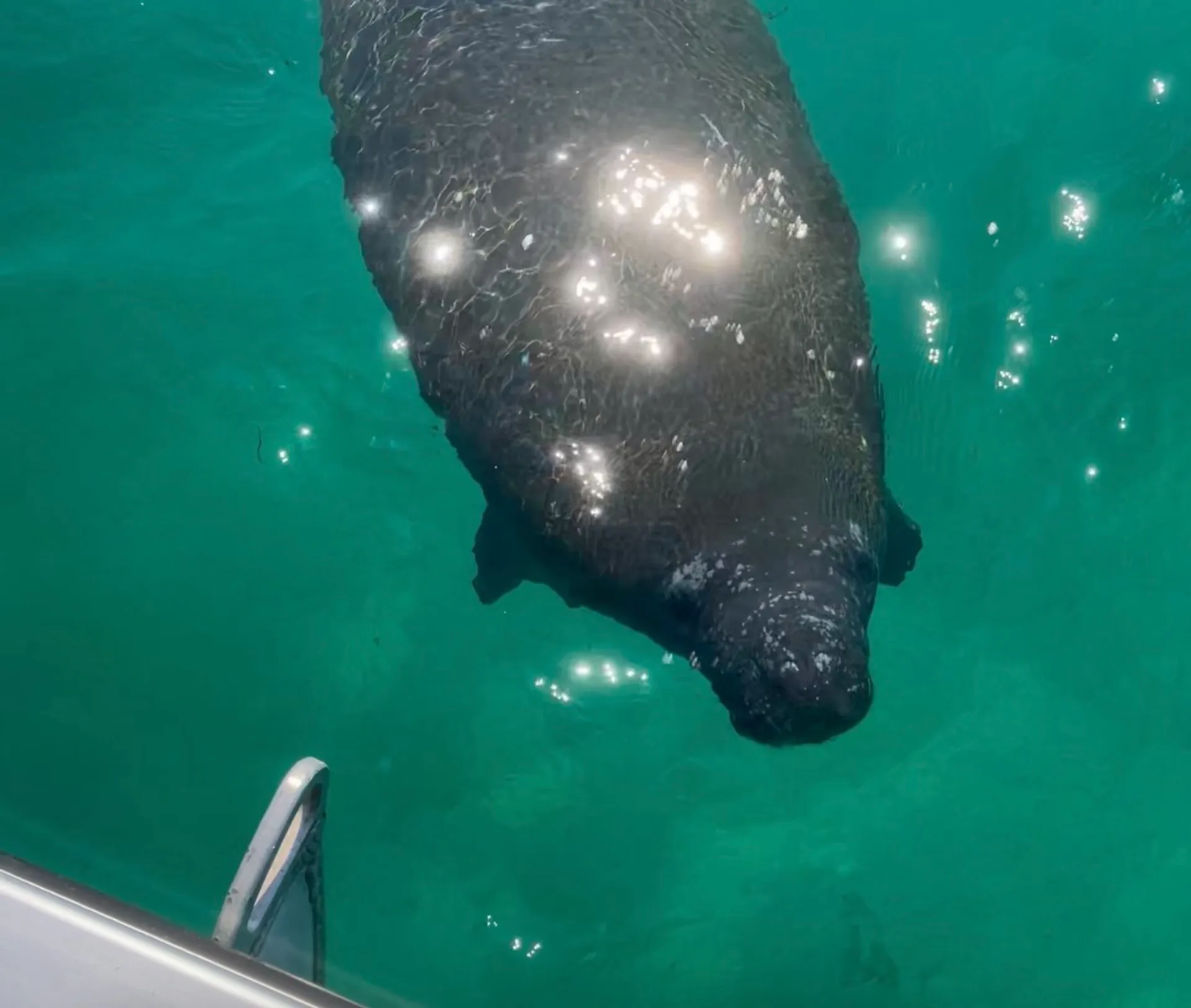 2023 Bentley, ride in style at Crab Island with a local!!