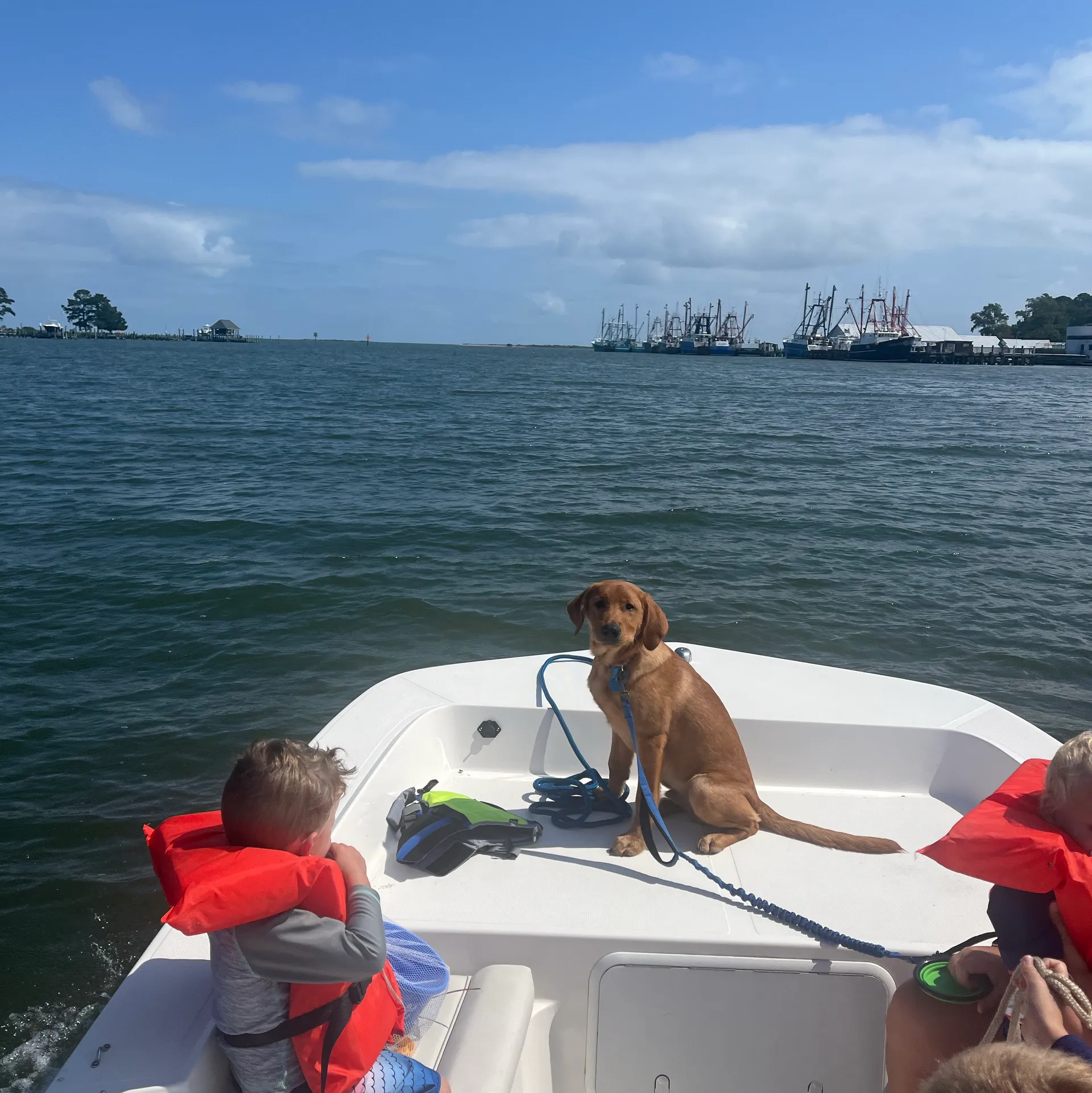 Sundance Center Console great for anything