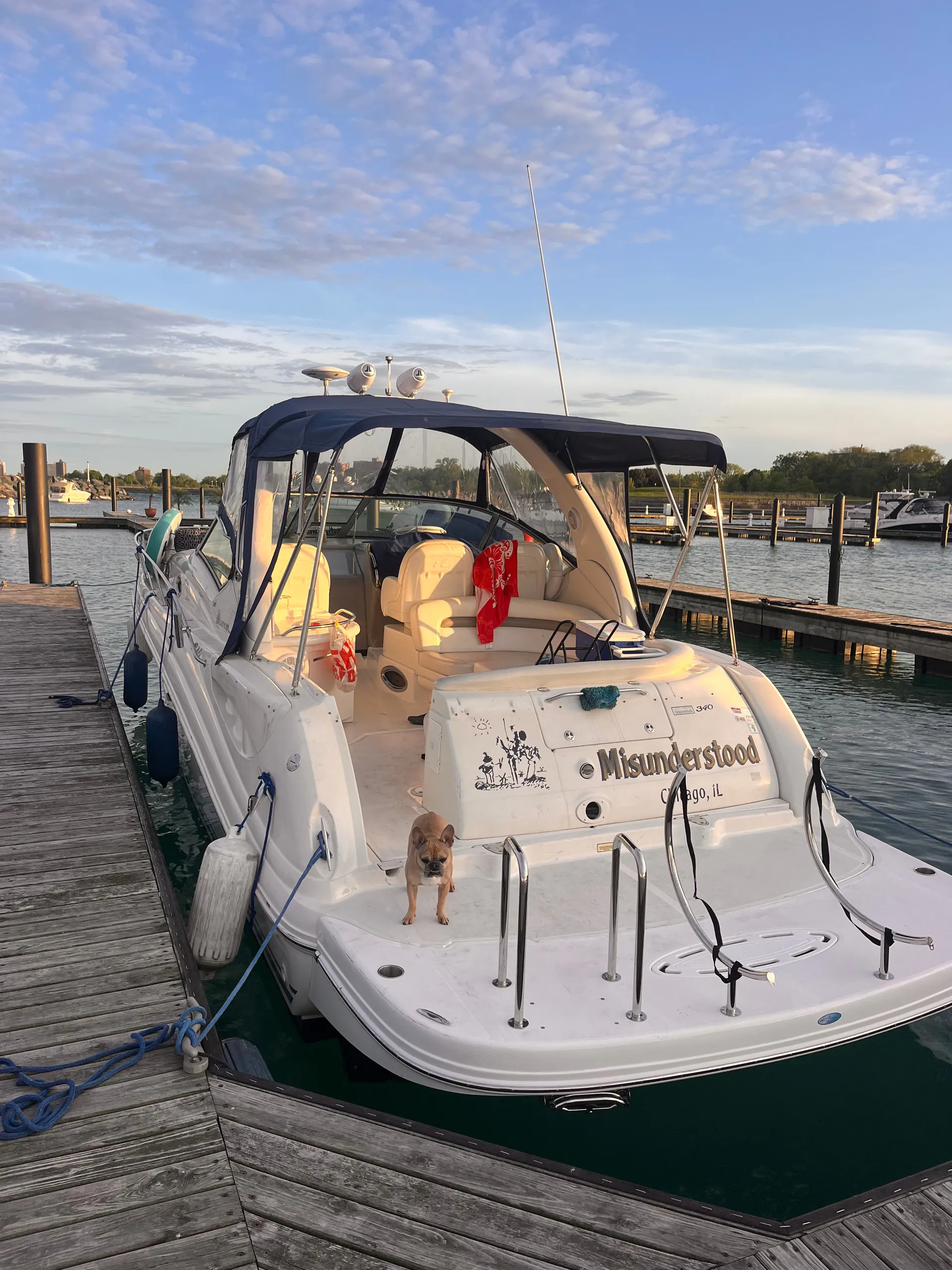 Chicago Luxury Charter, Searay Sundancer 320, 32ft  