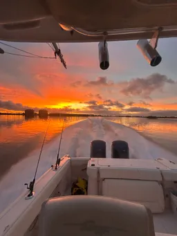 Salt an Sunset Charters Grady-White 306 |Dolphins, Shelling and Sunset boat photo