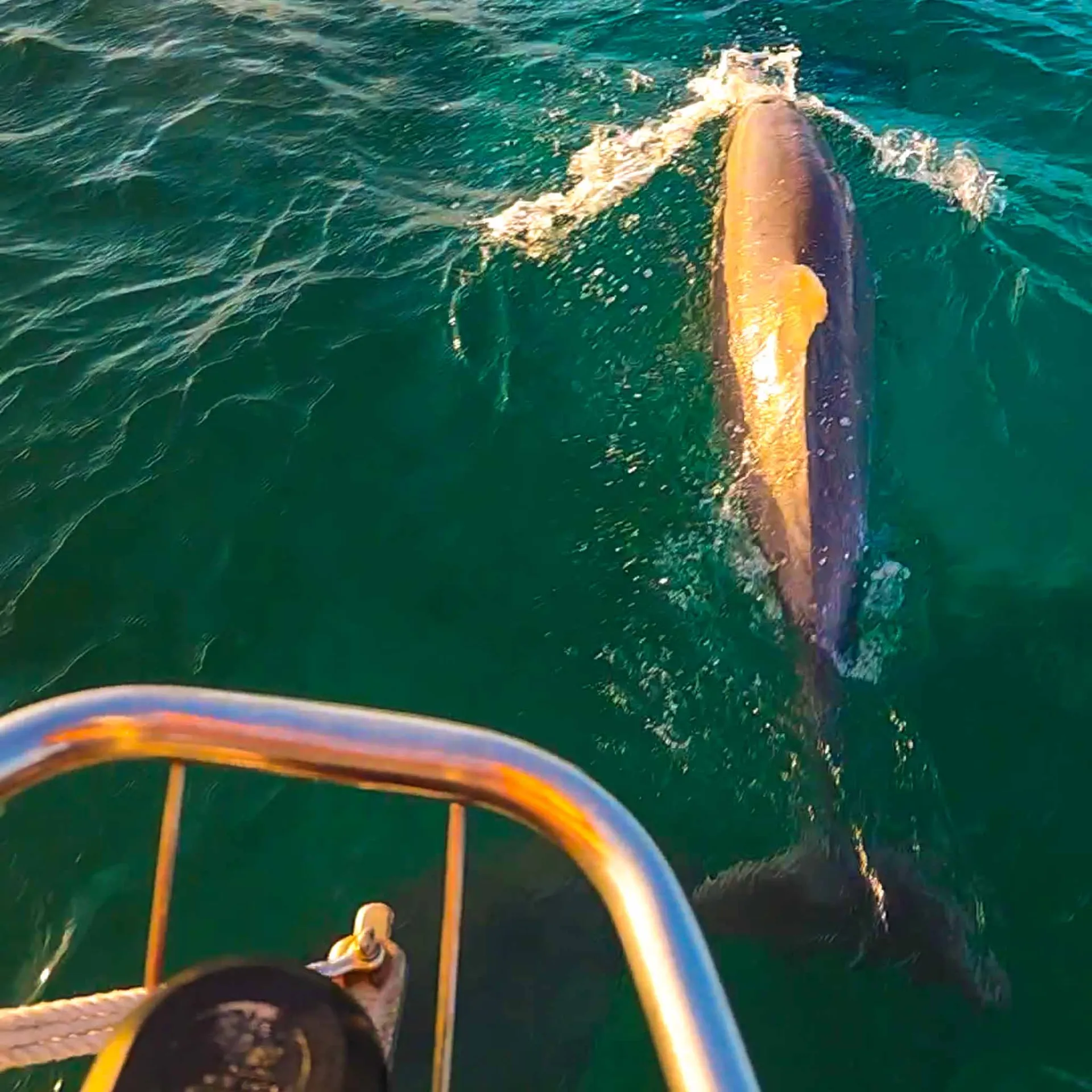A unique experience in MIAMI