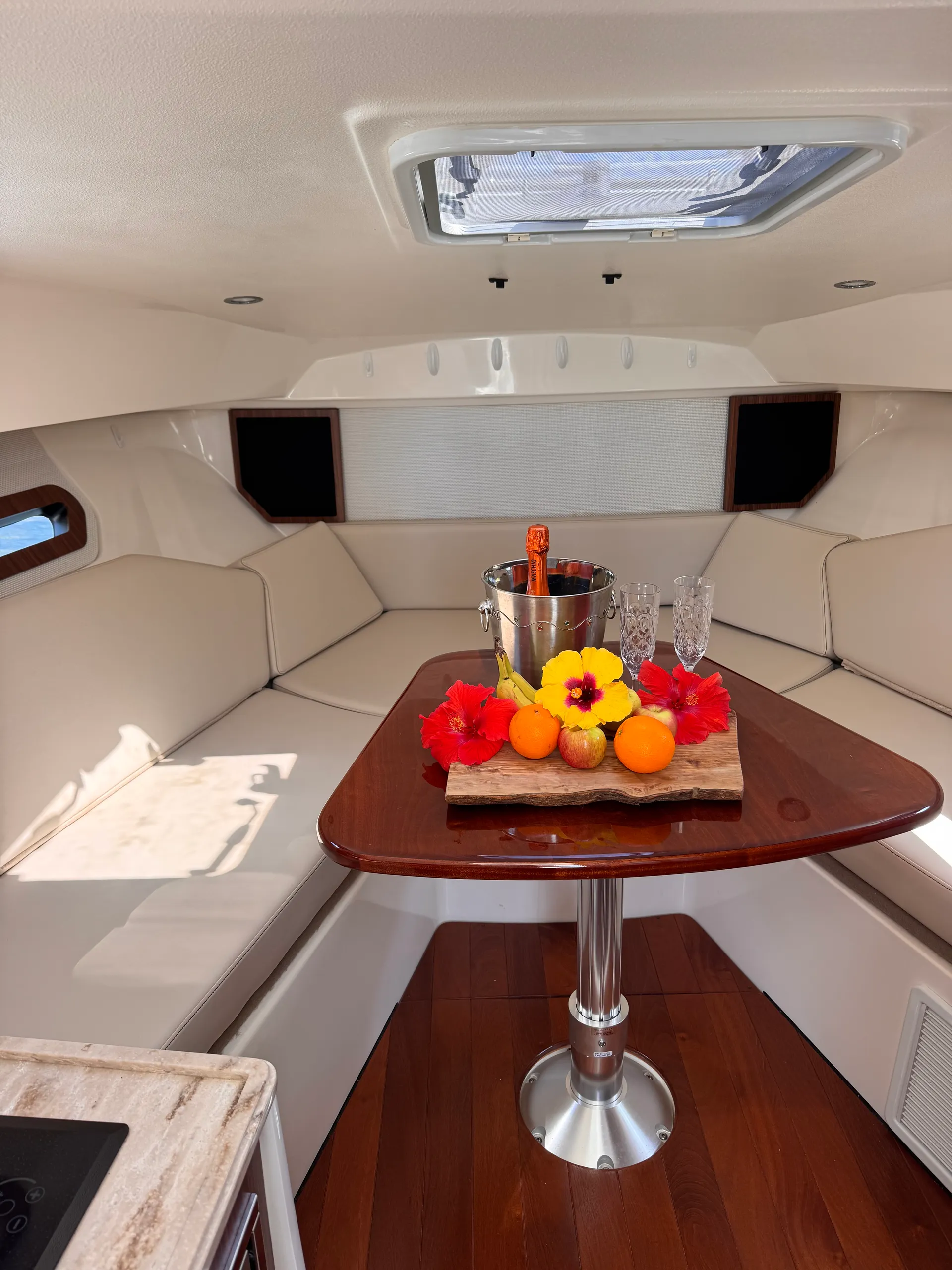 35' Luxury Cruiser- your dream experience awaits!