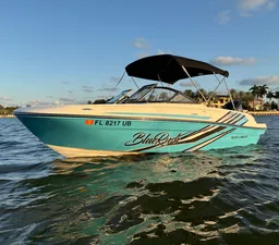 🔥 BlueRush | New Bayliner | Sandbar/Cruising • Ft. Lauderdale • Miami boat photo