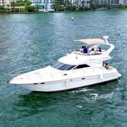 50' SEA RAY - WHITE PEAL  boat photo