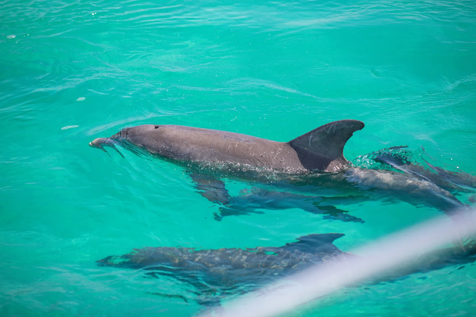 56' Luxury Yacht Crab Island Cruise 12 ppl