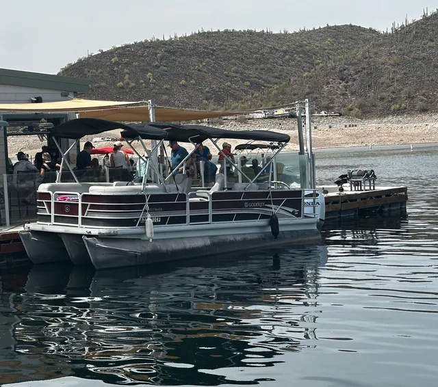 Rent a GODFREY MARINE pontoon in Sun City, AZ near me