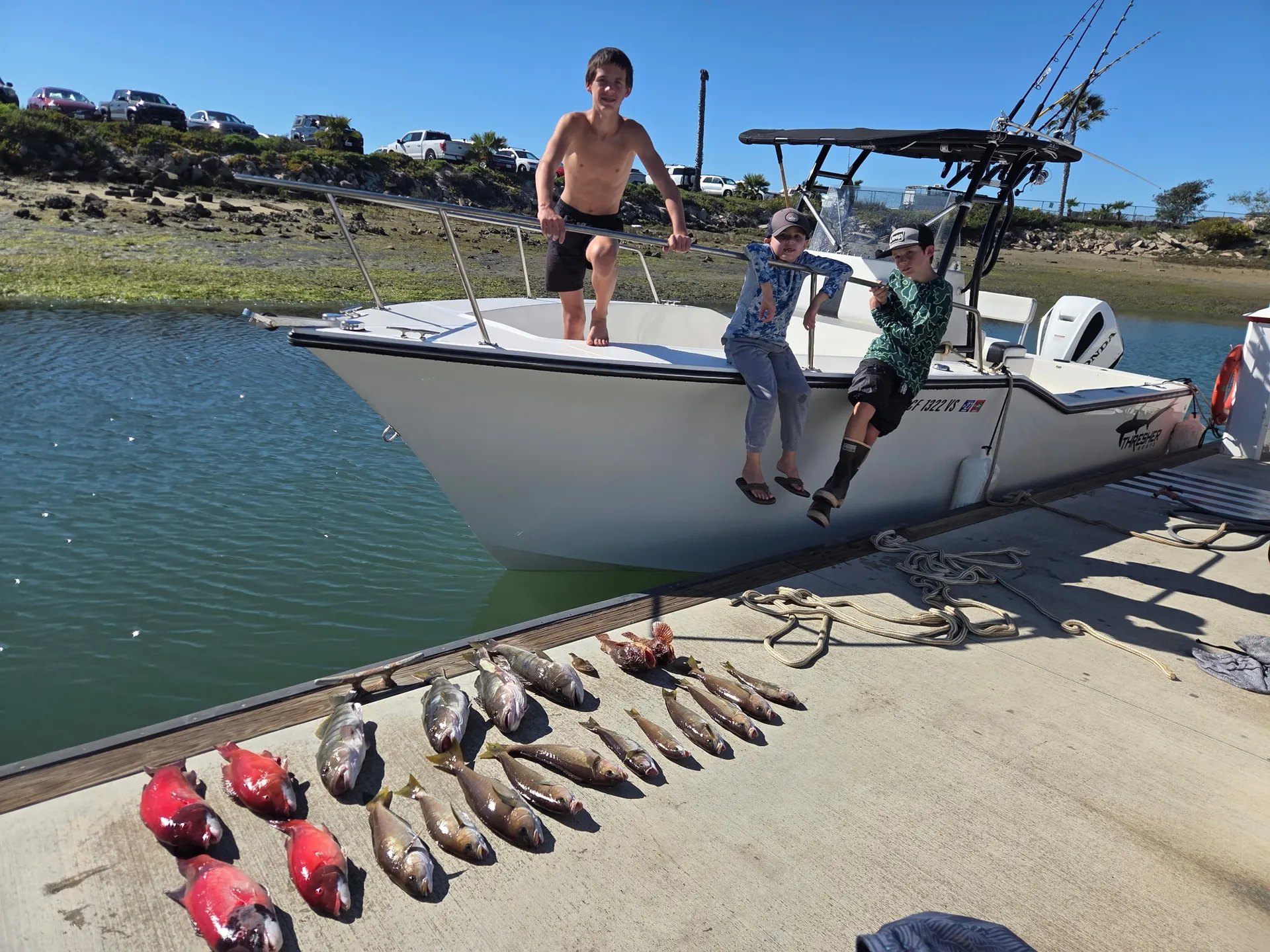 Thresher Thresher in San Diego, CA — photo 2