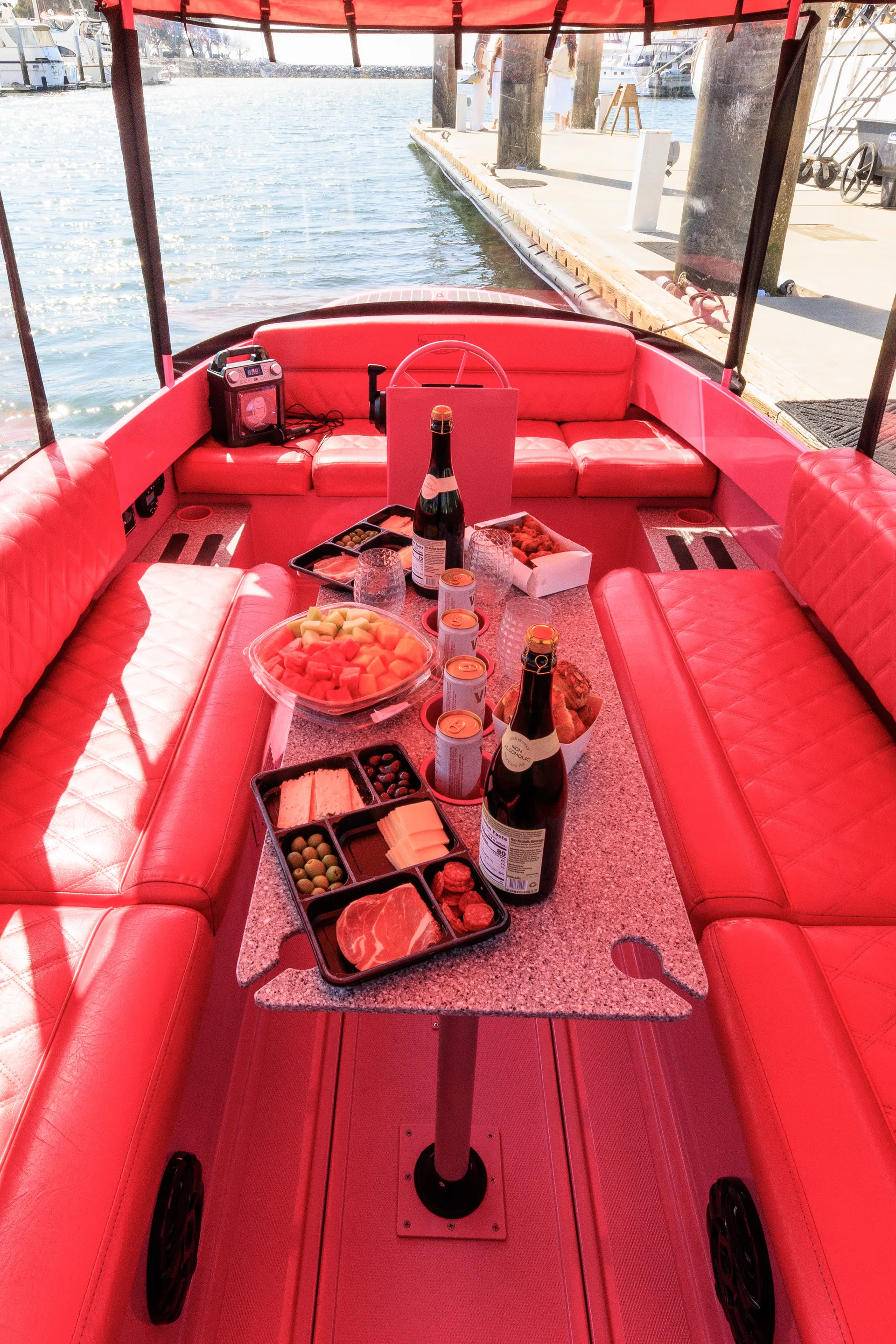 Pink Electric Boat Rental in San Diego (Drive It Yourself • Seats 10)