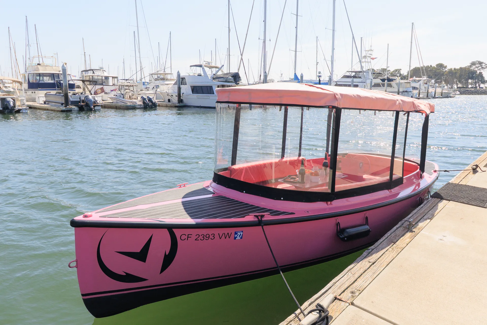 Pink Electric Boat Rental in San Diego (Drive It Yourself • Seats 10)