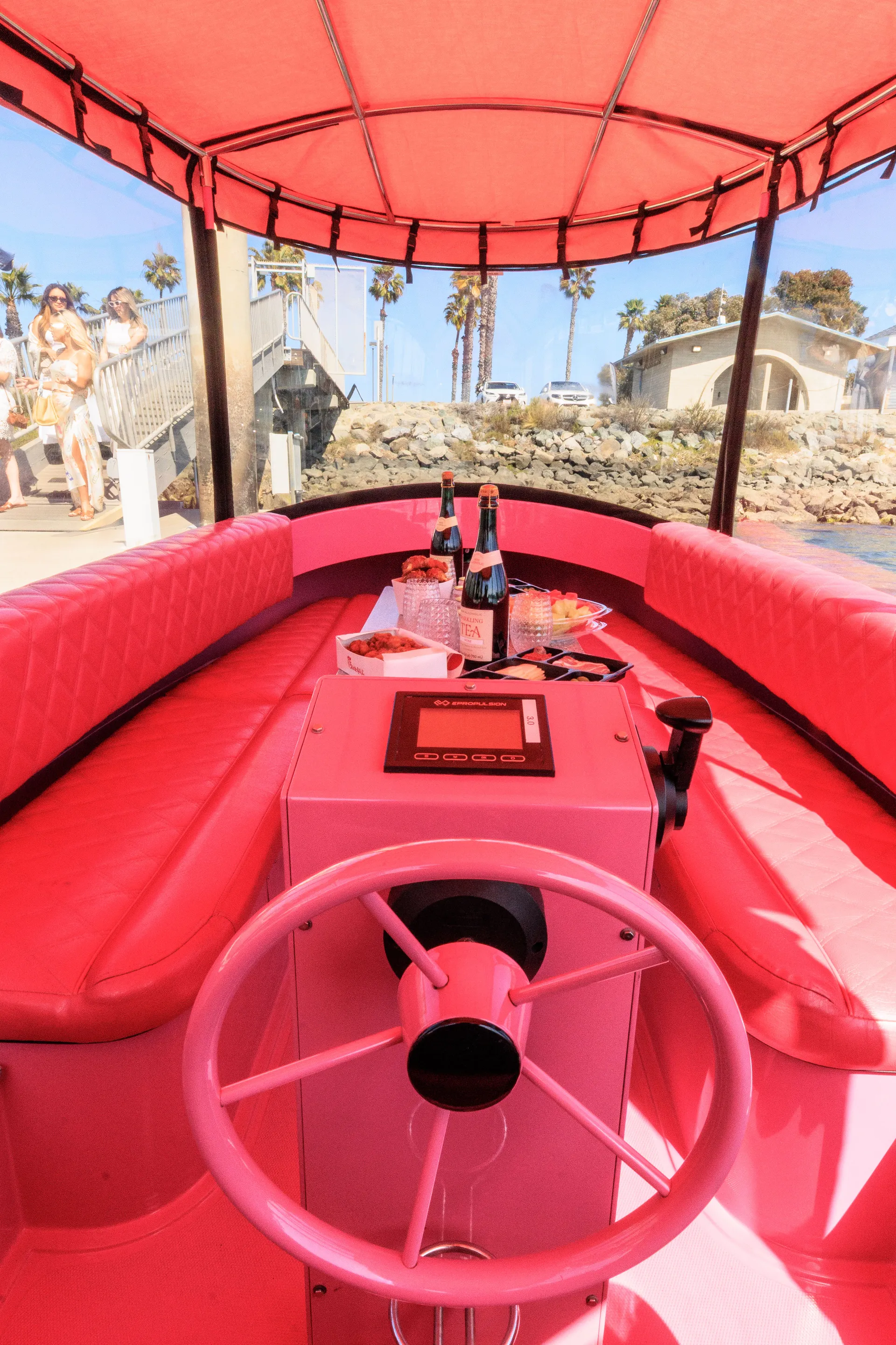 Pink Electric Boat Rental in San Diego (Drive It Yourself • Seats 10)