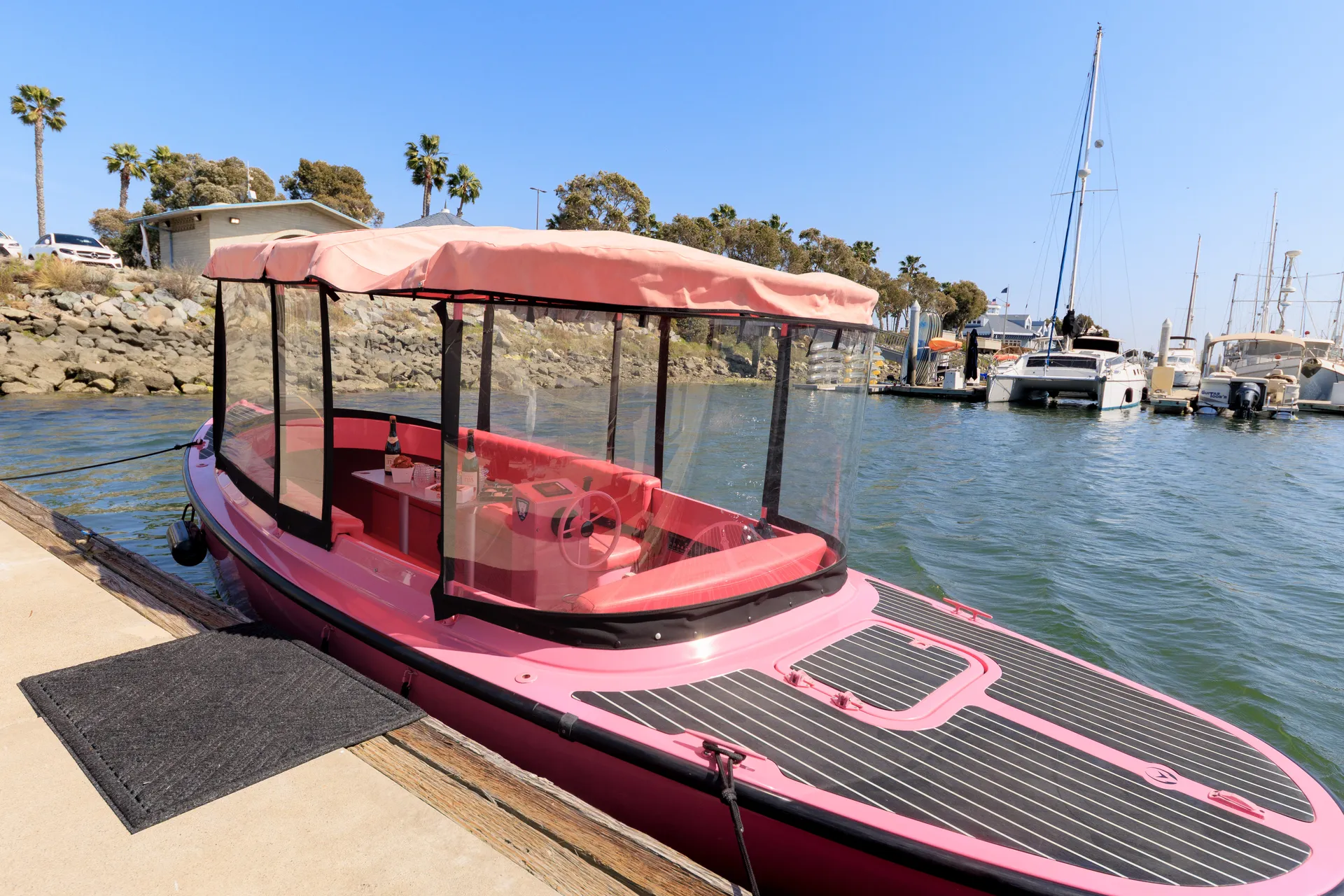 Pink Electric Boat Rental in San Diego (Drive It Yourself • Seats 10)