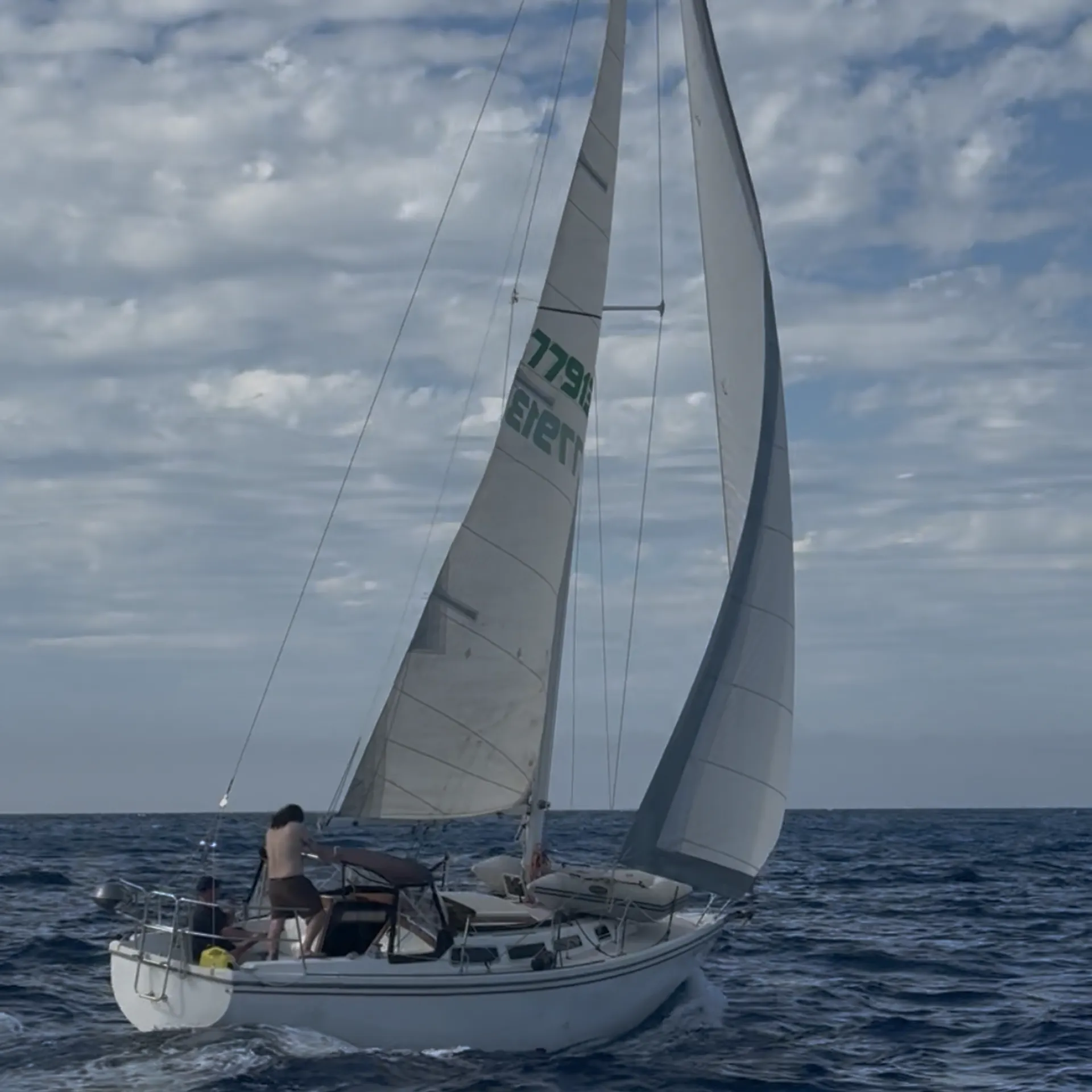 CATALINA 30 in Redondo Beach, CA — photo 2