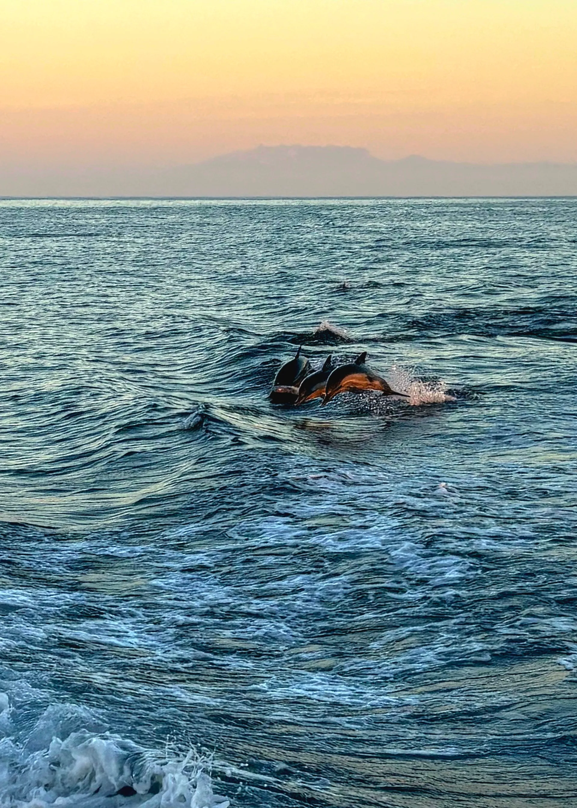 52 ft Luxury Express Cruiser with Zodiac, Kayaks and SUP's