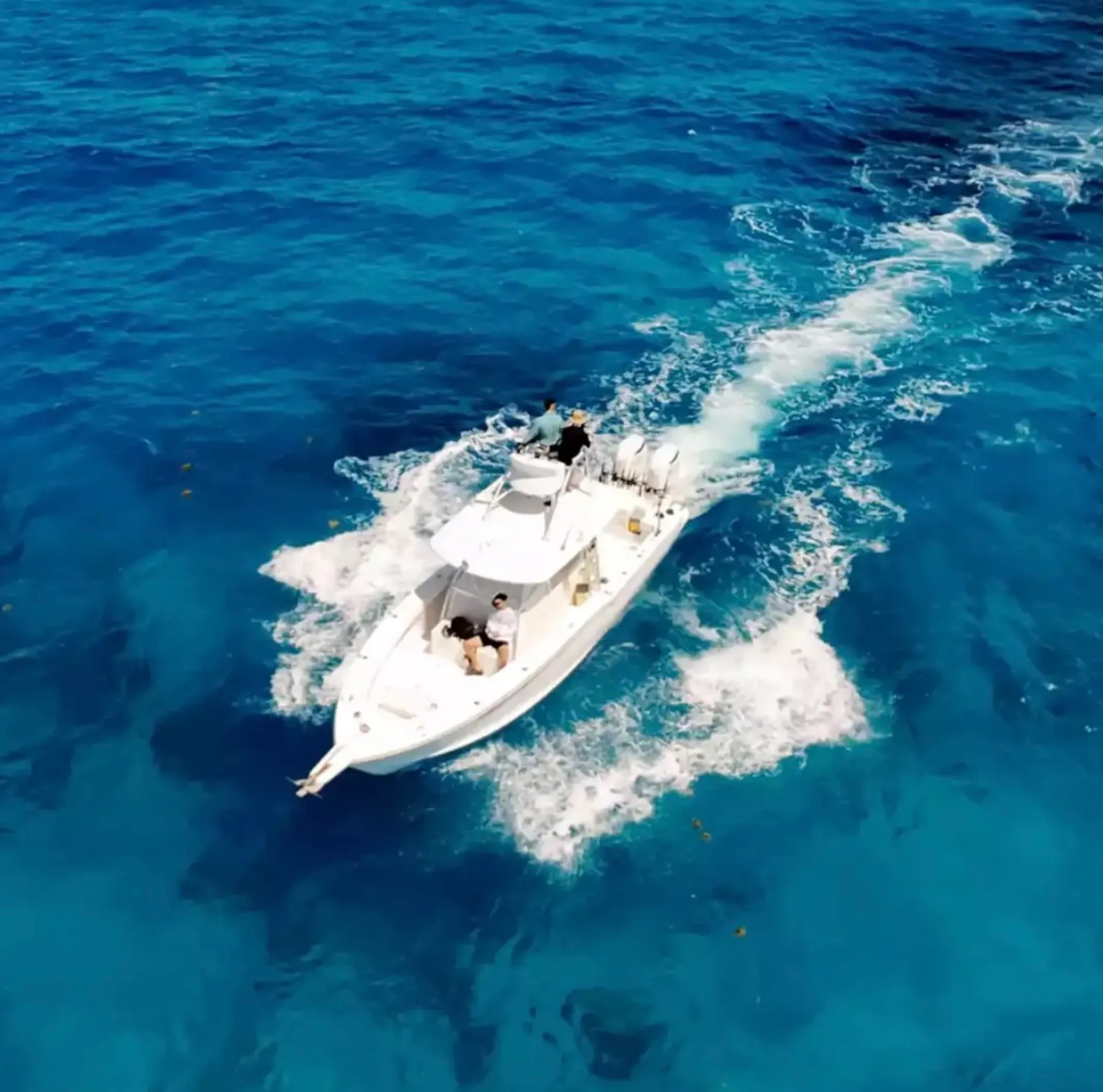 Having Fun Yet? Offshore Fishing Charters