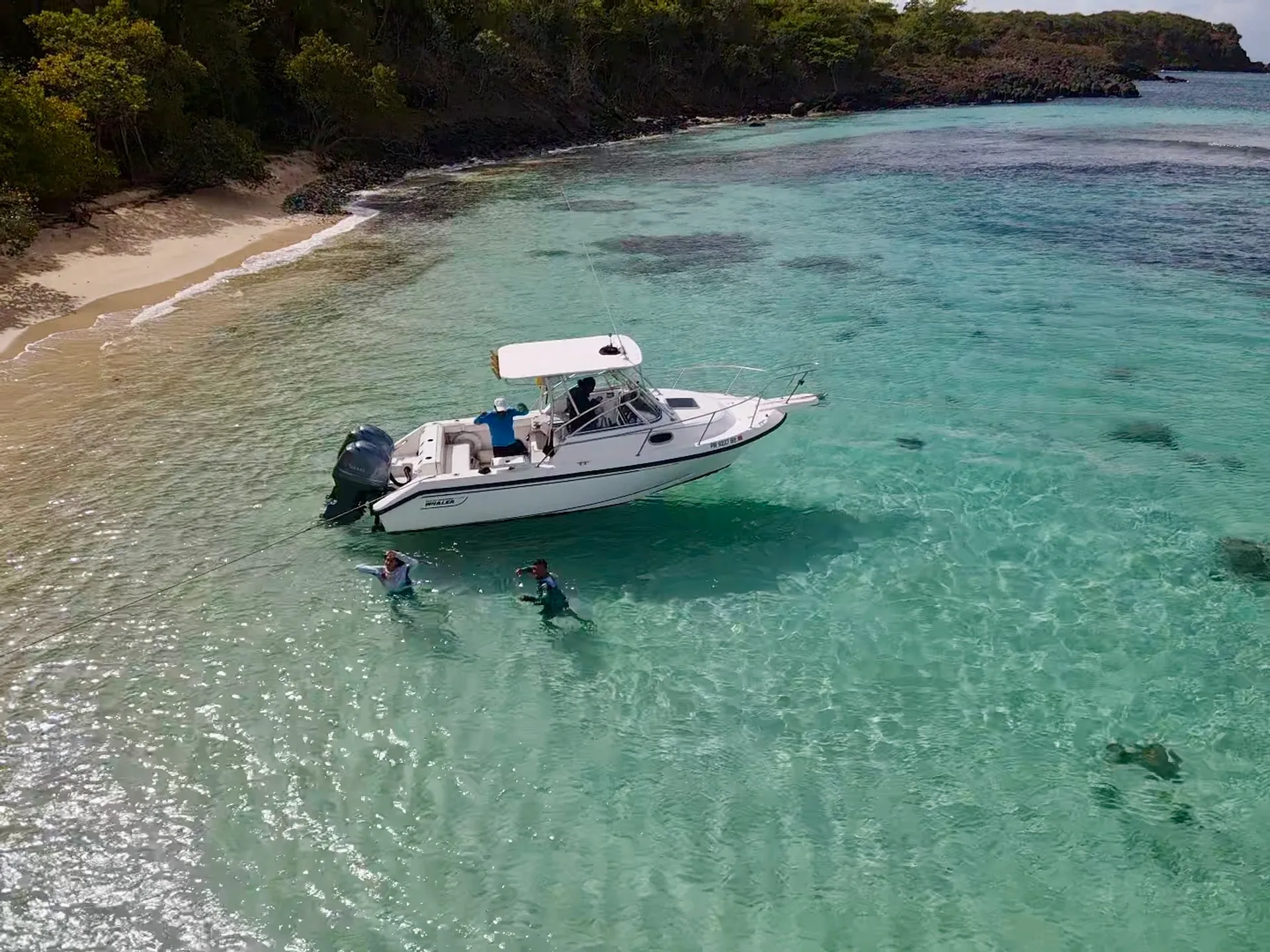 Boston Whaler 24’ – Smooth Ride to Icacos/Palomino (Captain Included)