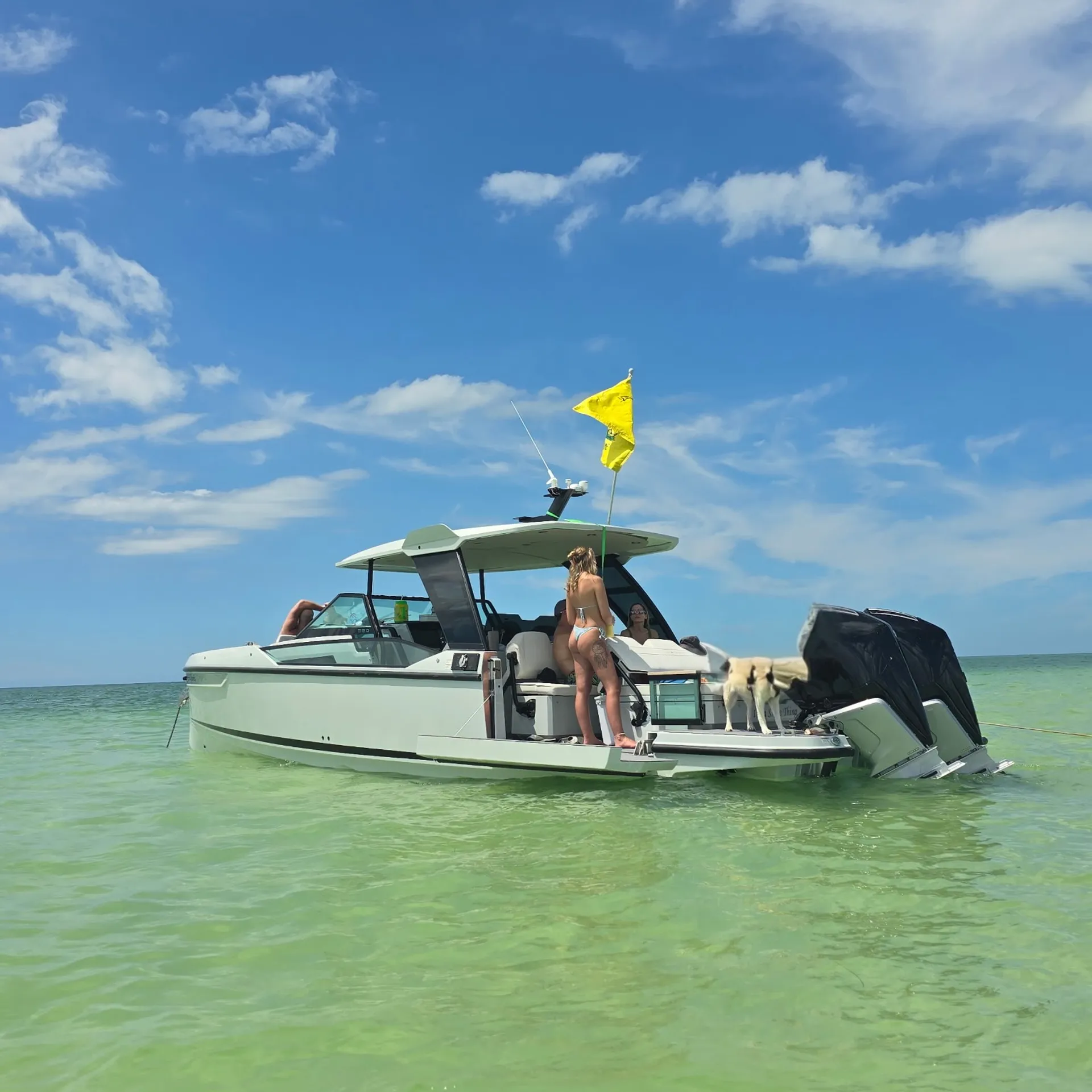 The Show Stopper—Saxdor 320 GTO 