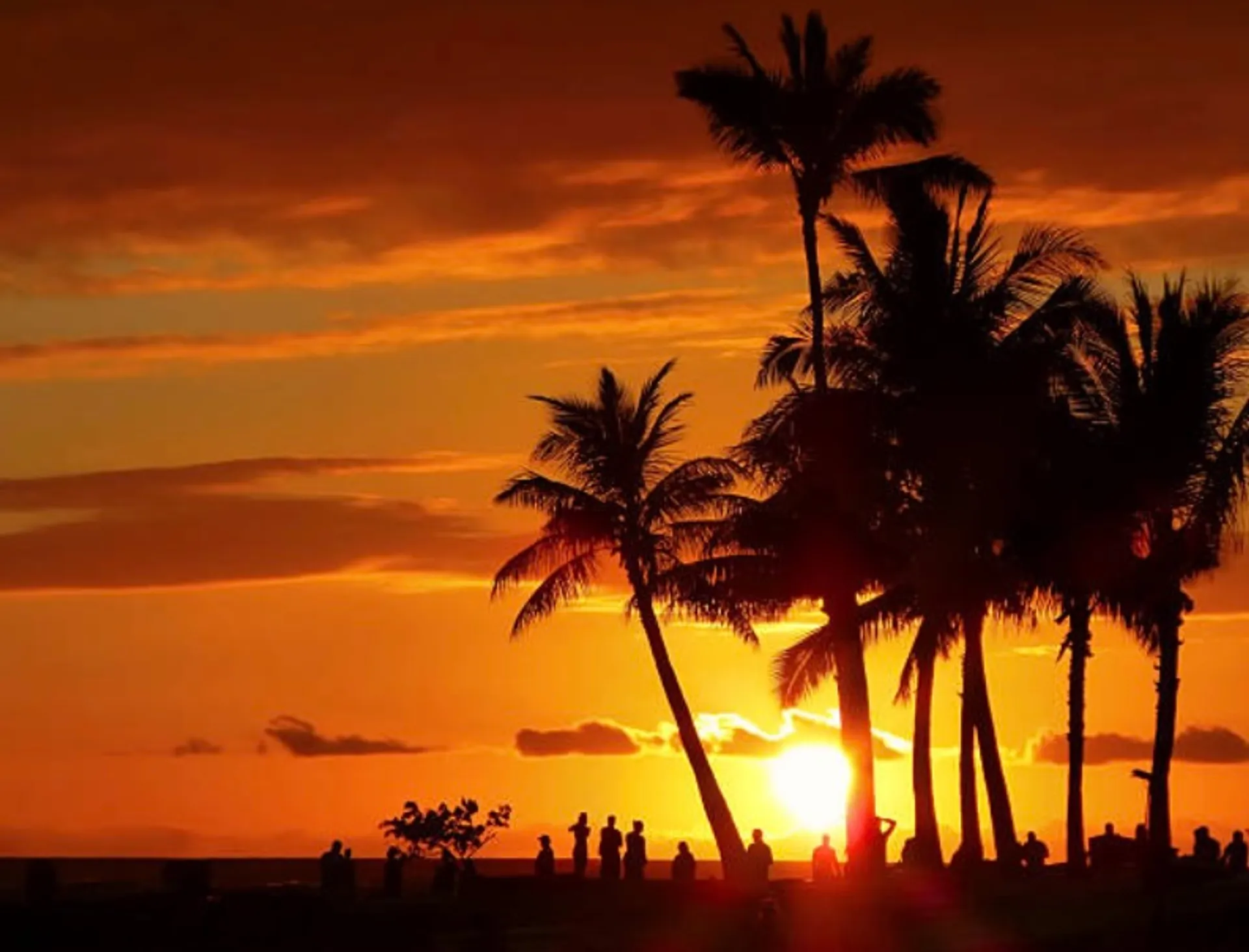 SPECIAL PRICE Private Charter: Snorkel, Dolphins, Sunset, Fireworks