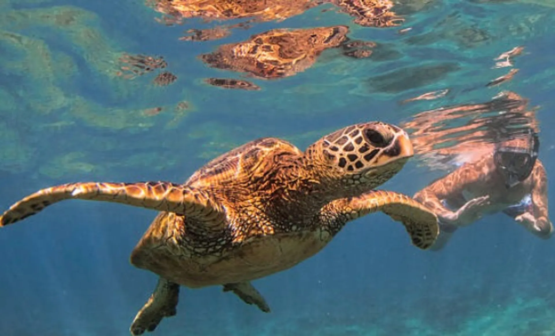 SPECIAL PRICE Private Charter: Snorkel, Dolphins, Sunset, Fireworks