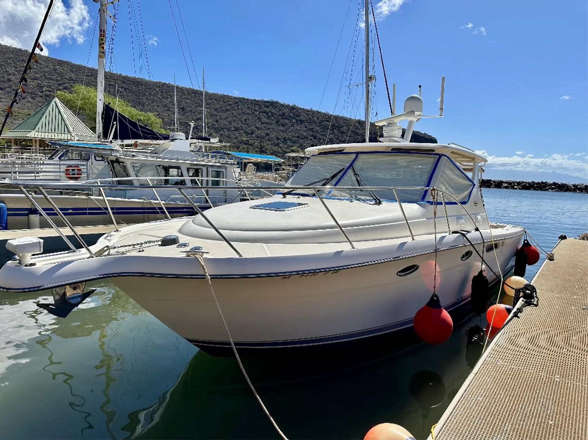 SPECIAL PRICE Private Charter: Snorkel, Dolphins, Sunset, Fireworks