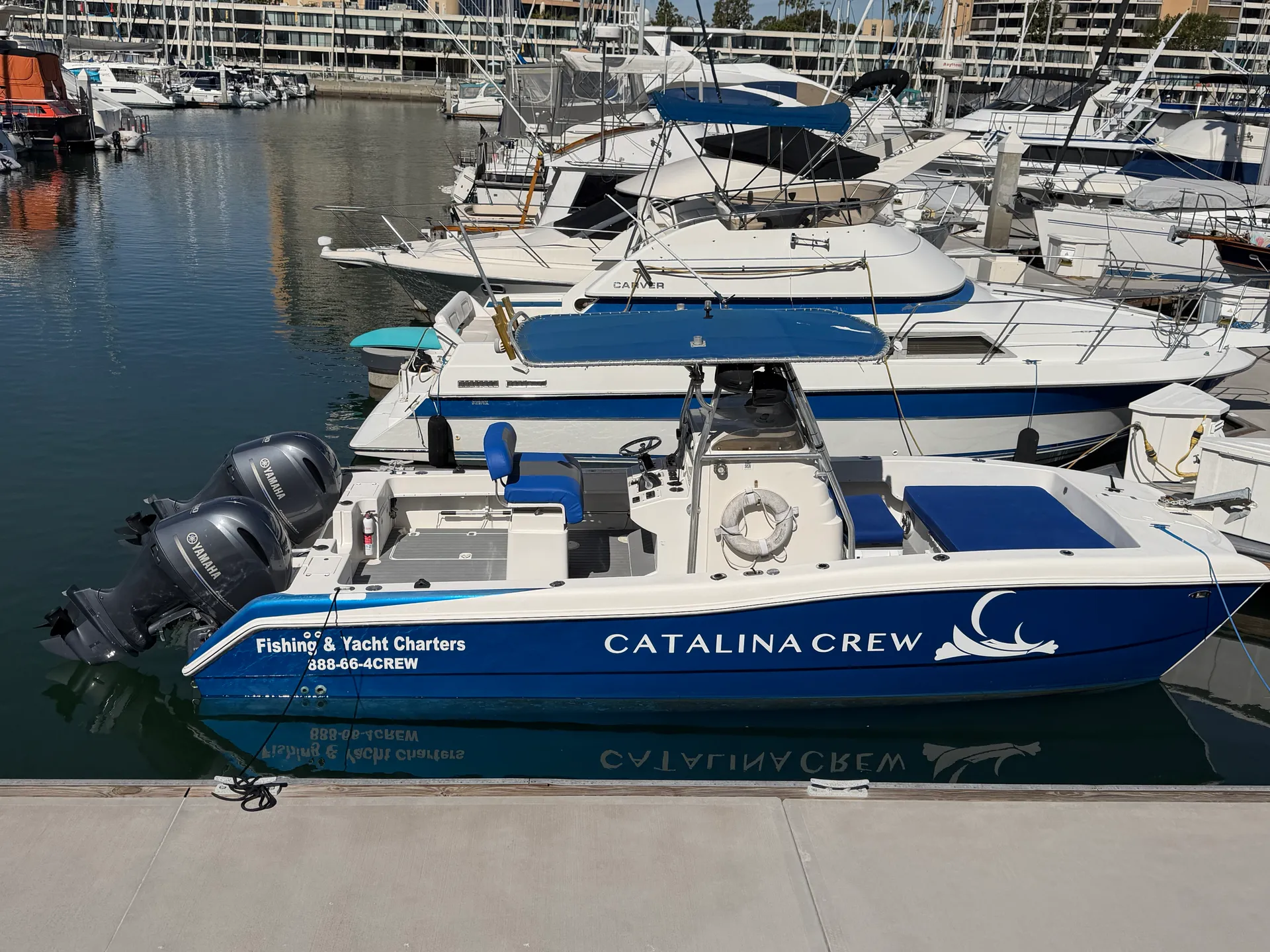 Personal CATALINA Ferry! Dolphin/Whale Watches and Coastal Cruises!