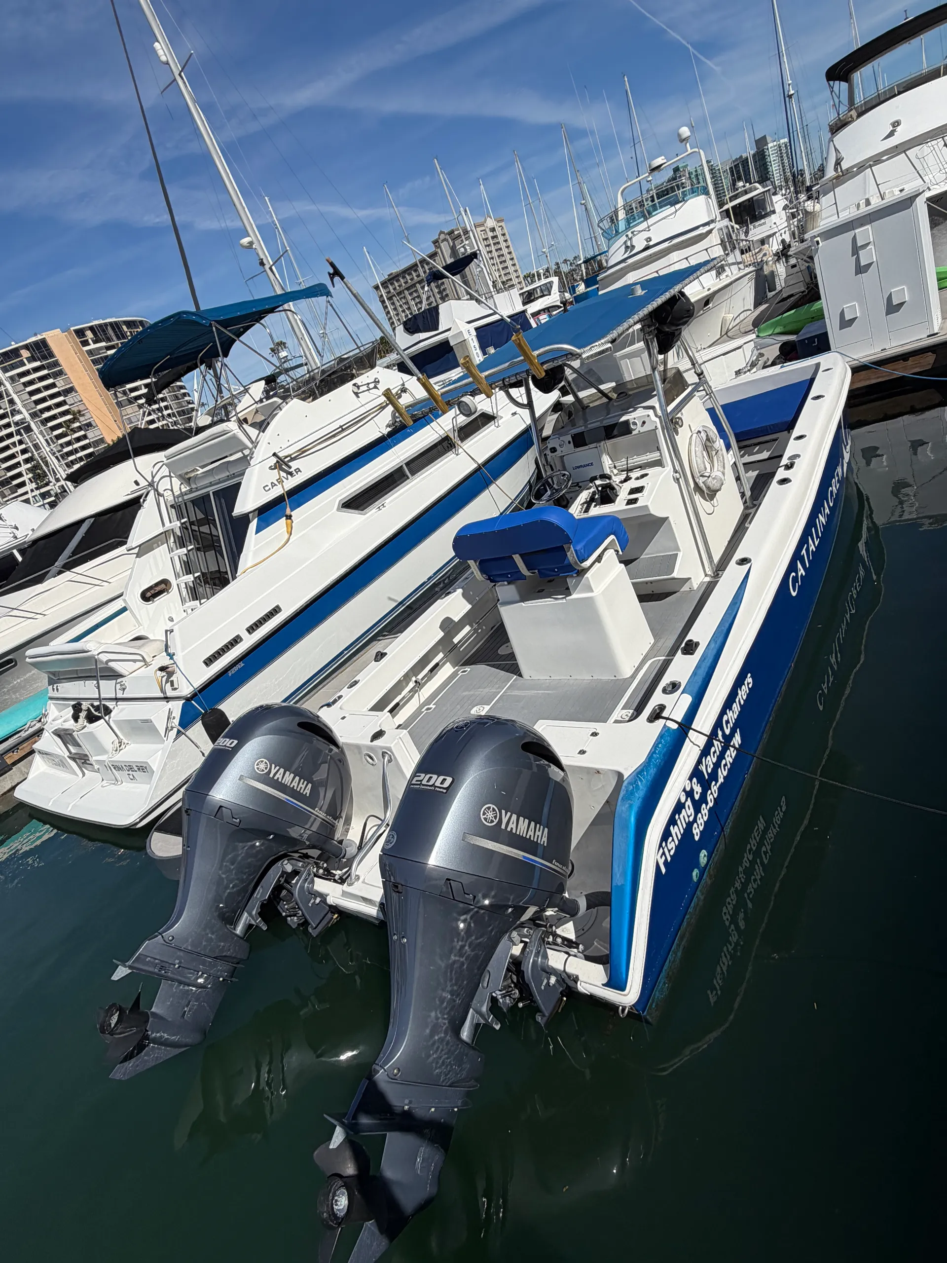 Personal CATALINA Ferry! Dolphin/Whale Watches and Coastal Cruises!