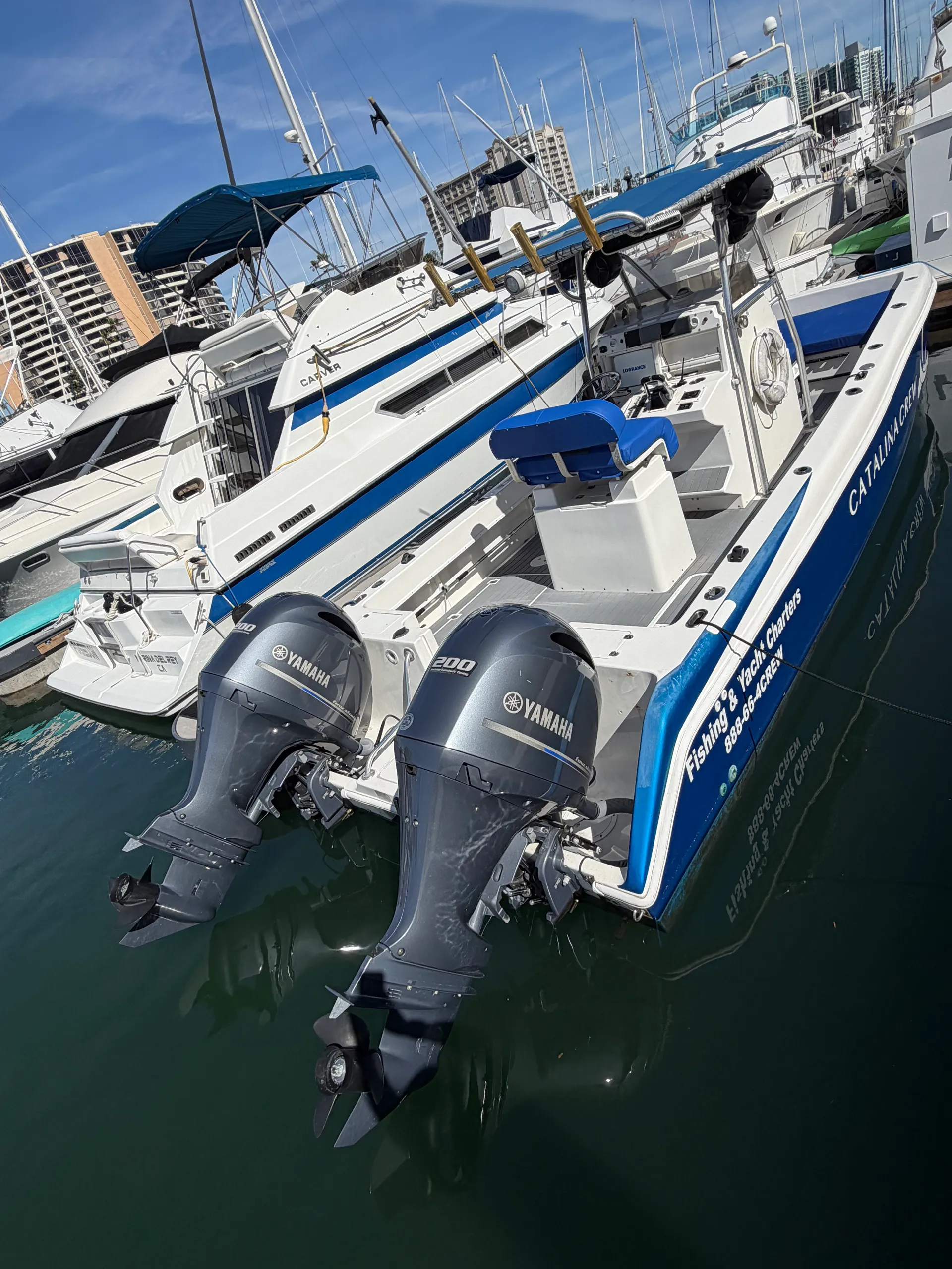 Personal CATALINA Ferry! Dolphin/Whale Watches and Coastal Cruises!