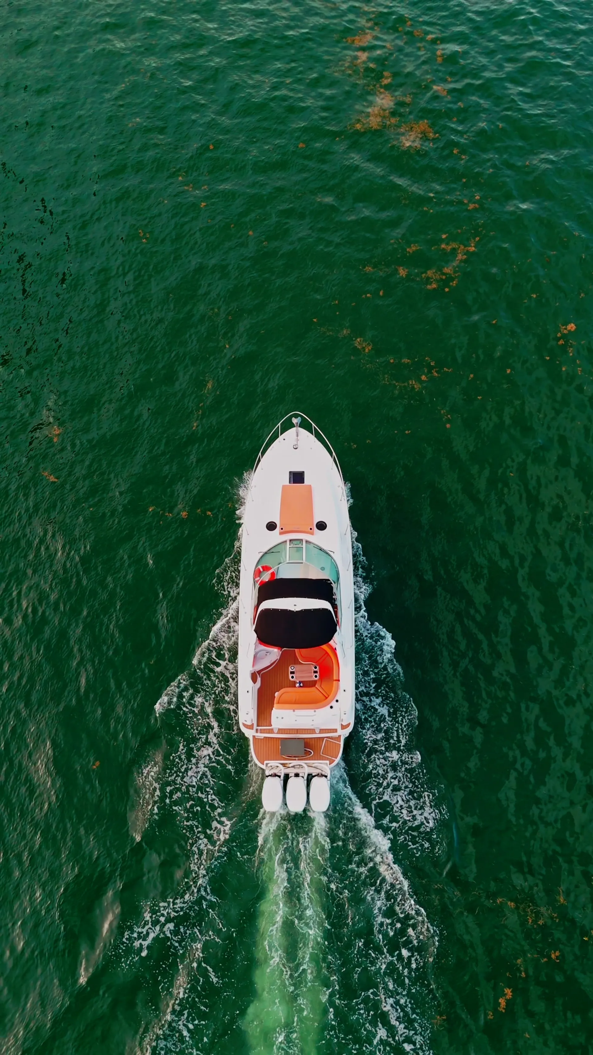 320 SeaRay Sundancer Adventure — Cruise, Swim and Explore Miami, FL!