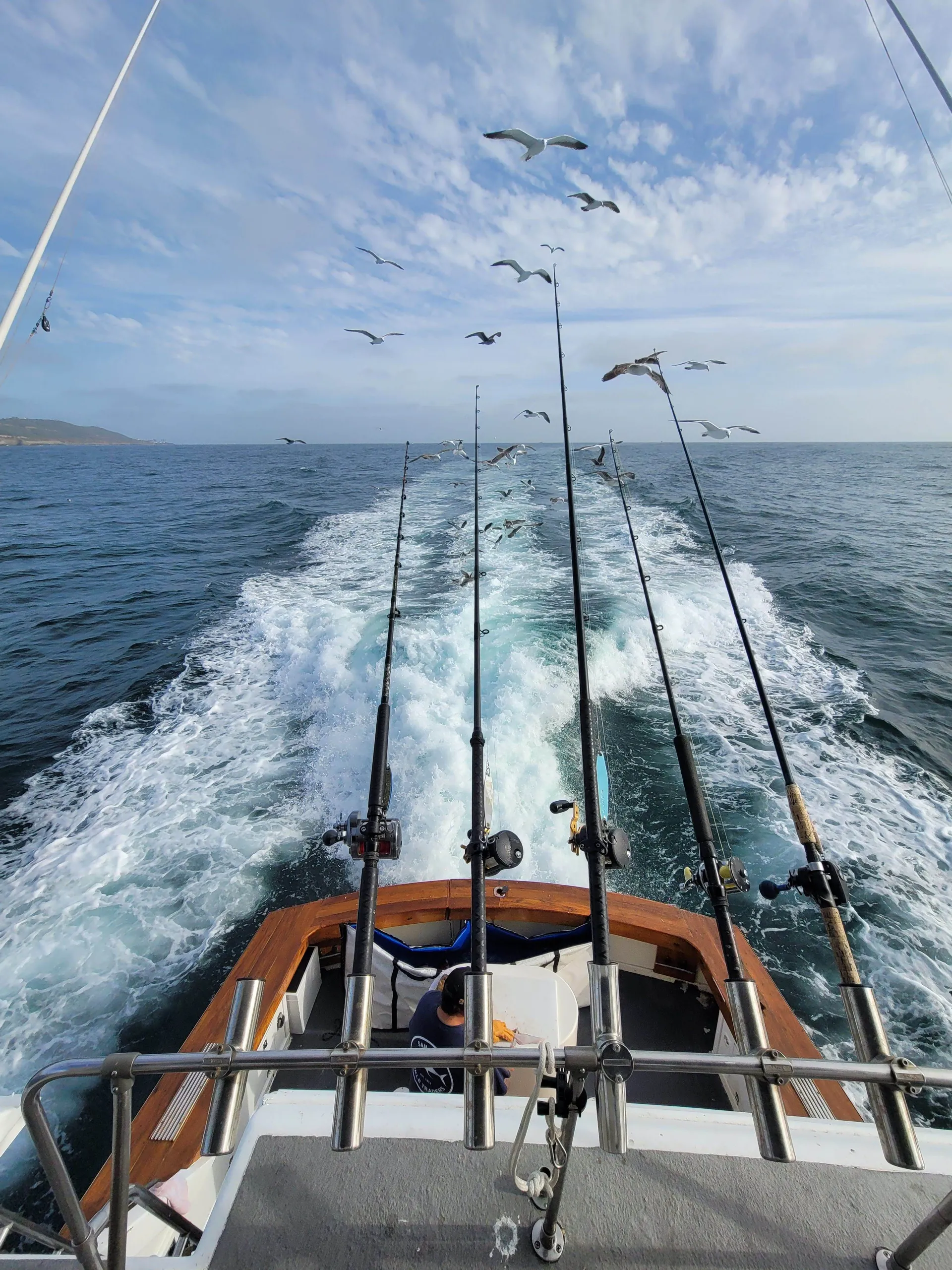 50ft EggHarbor. Party, Harbor cruise or offshore fishing 